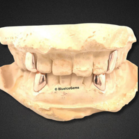 "The Vampire" Fangs Grillz