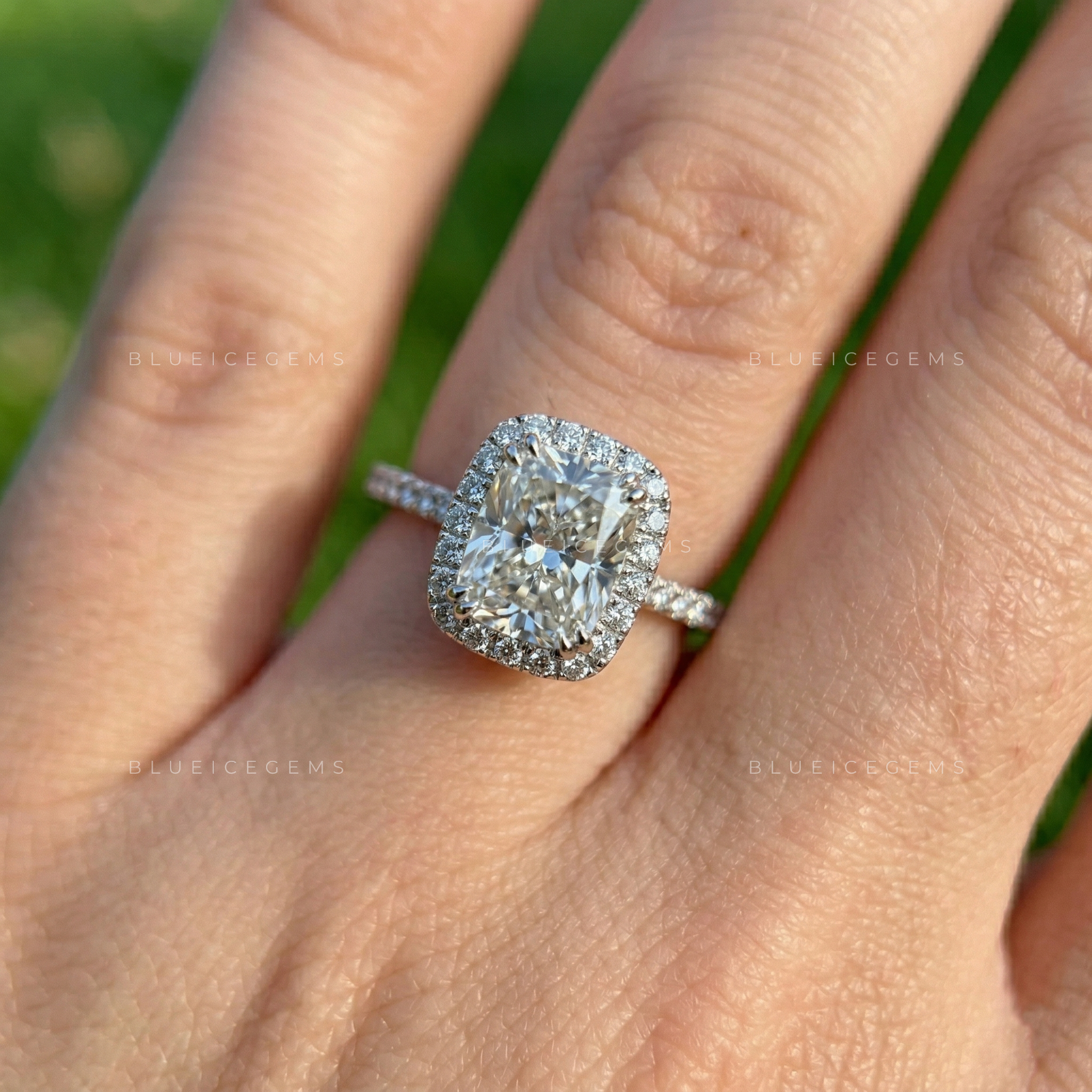 Velvet Radiance Cushion Cut Pavé Engagement Ring