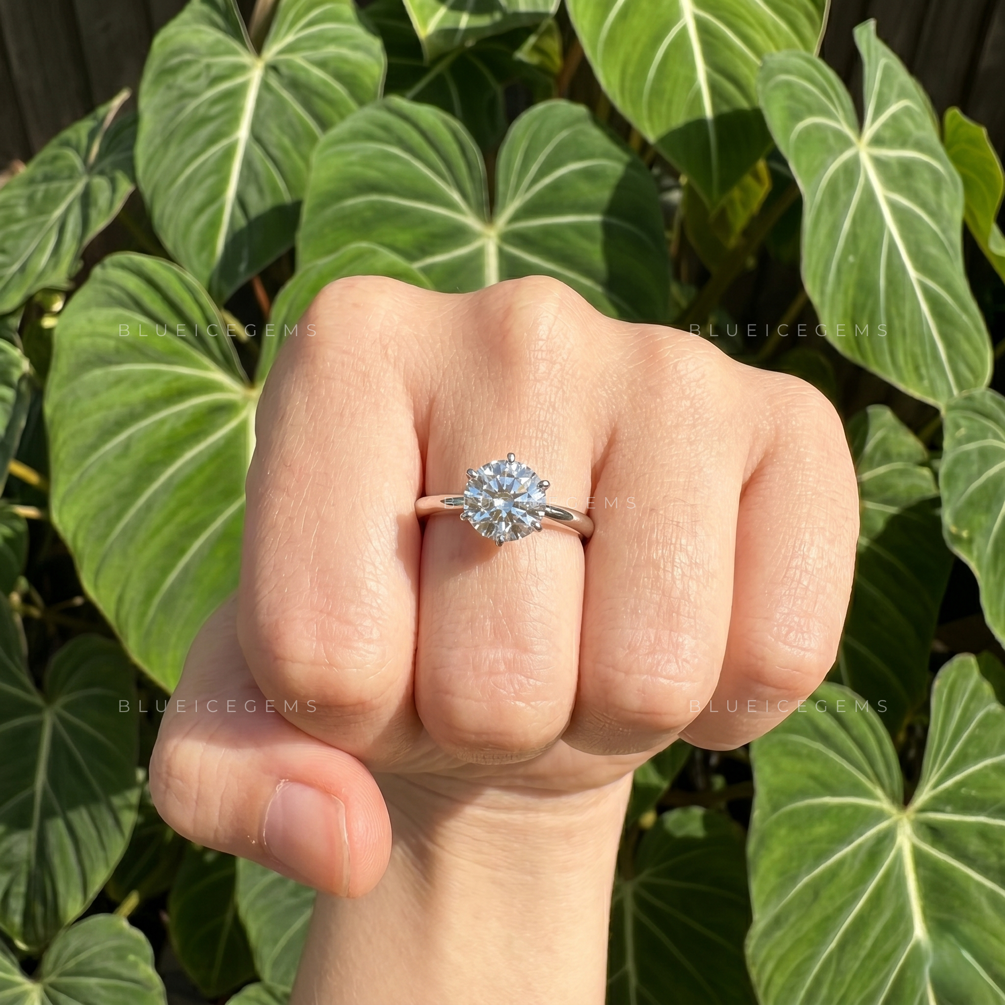 Pure Splendor Classic Six Prong Round Cut Solitaire Engagement Ring
