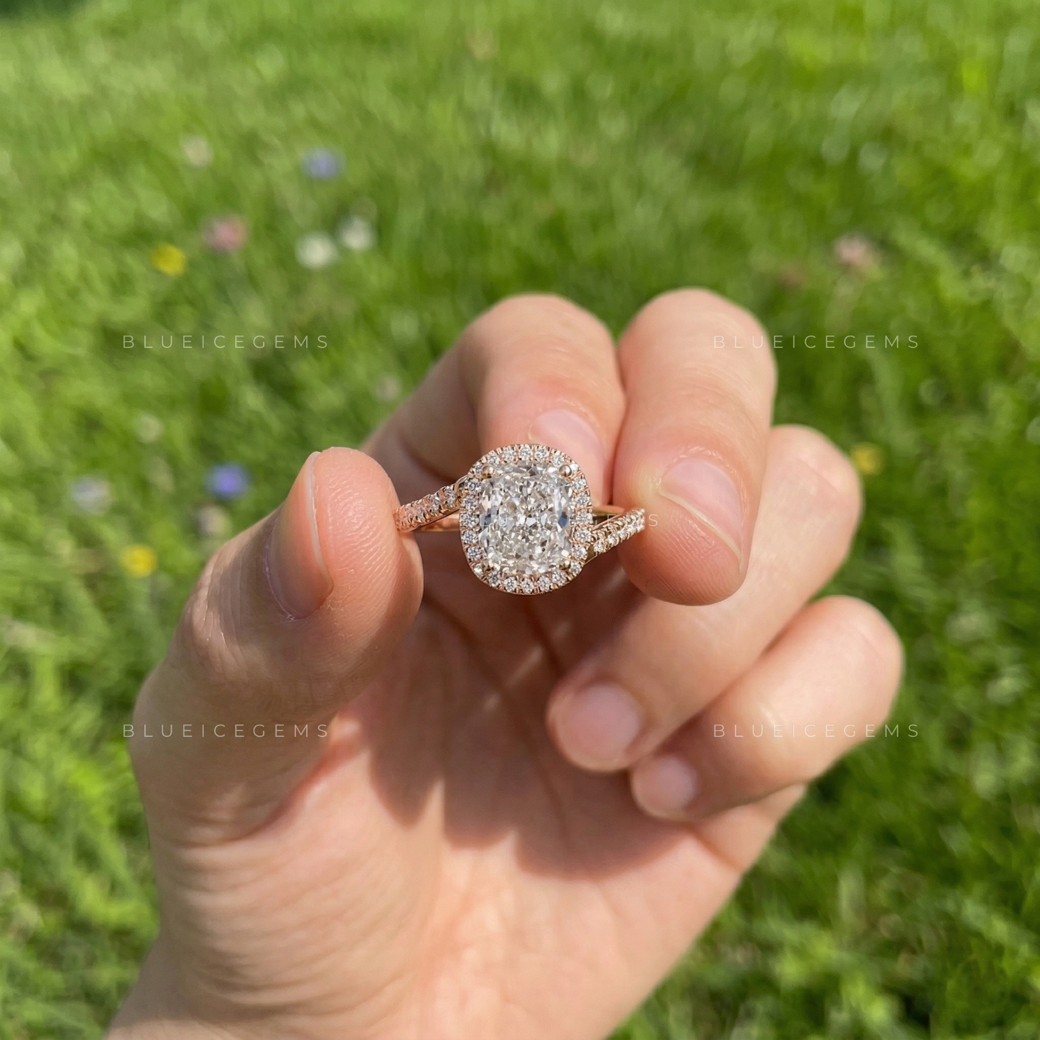 Velvet Radiance Cushion Cut Pavé Engagement Ring