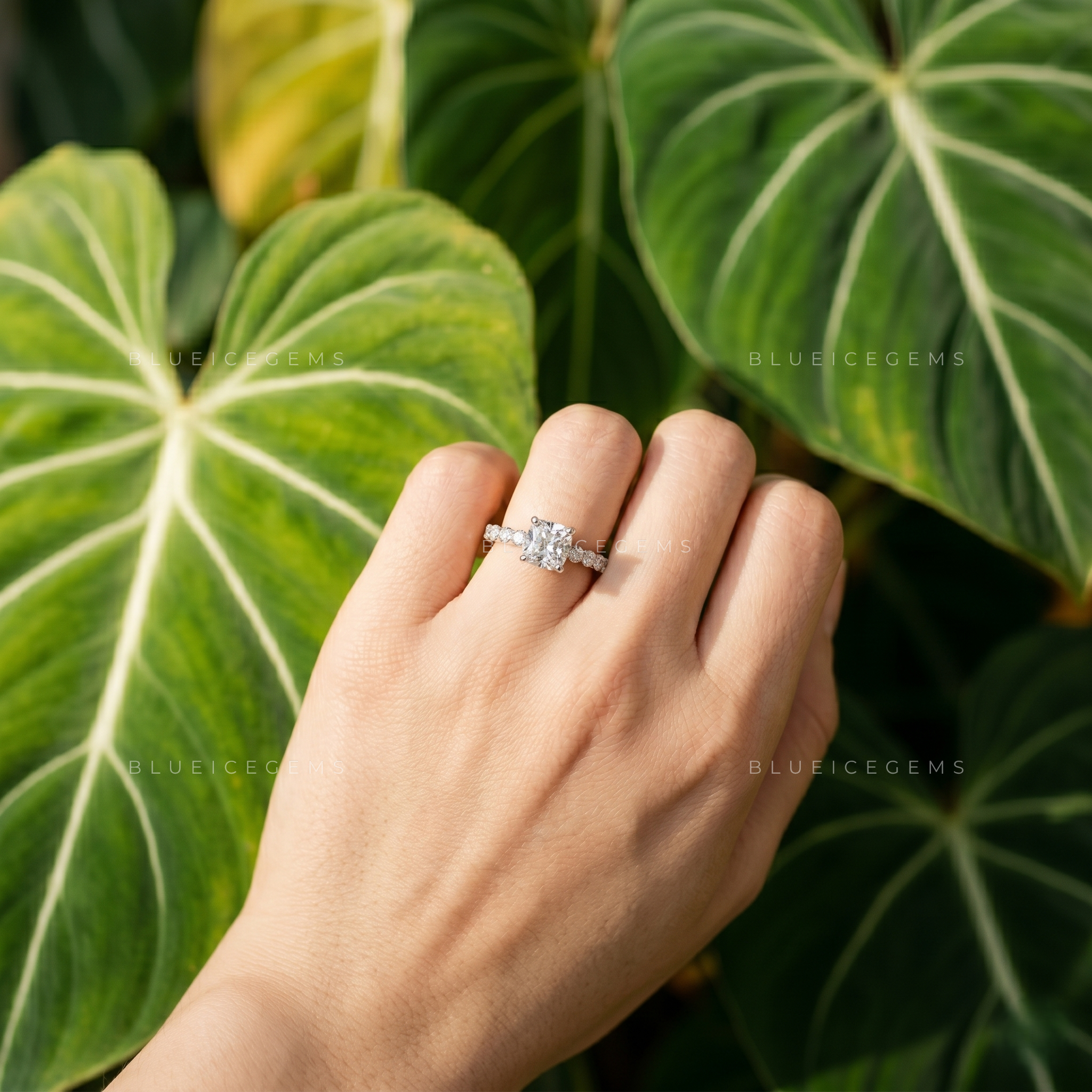 Elegance Cushion Cut Diamond Solitaire Ring with Side Accents