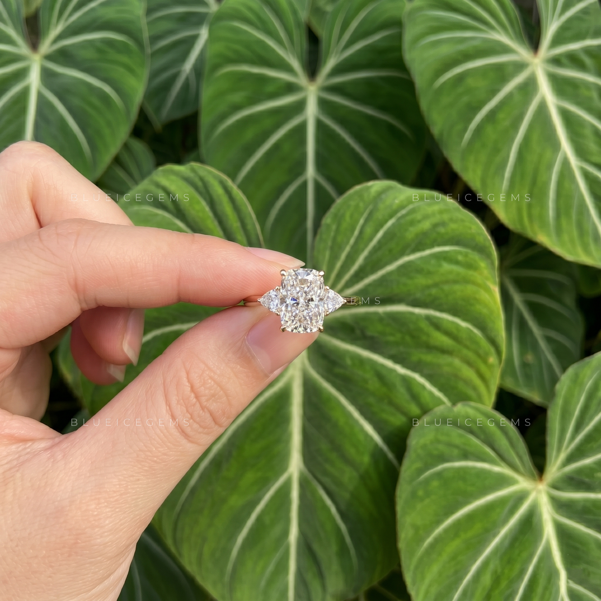 Radiant Symmetry Elongated Cushion Cut Trillion Three Stone Engagement Ring