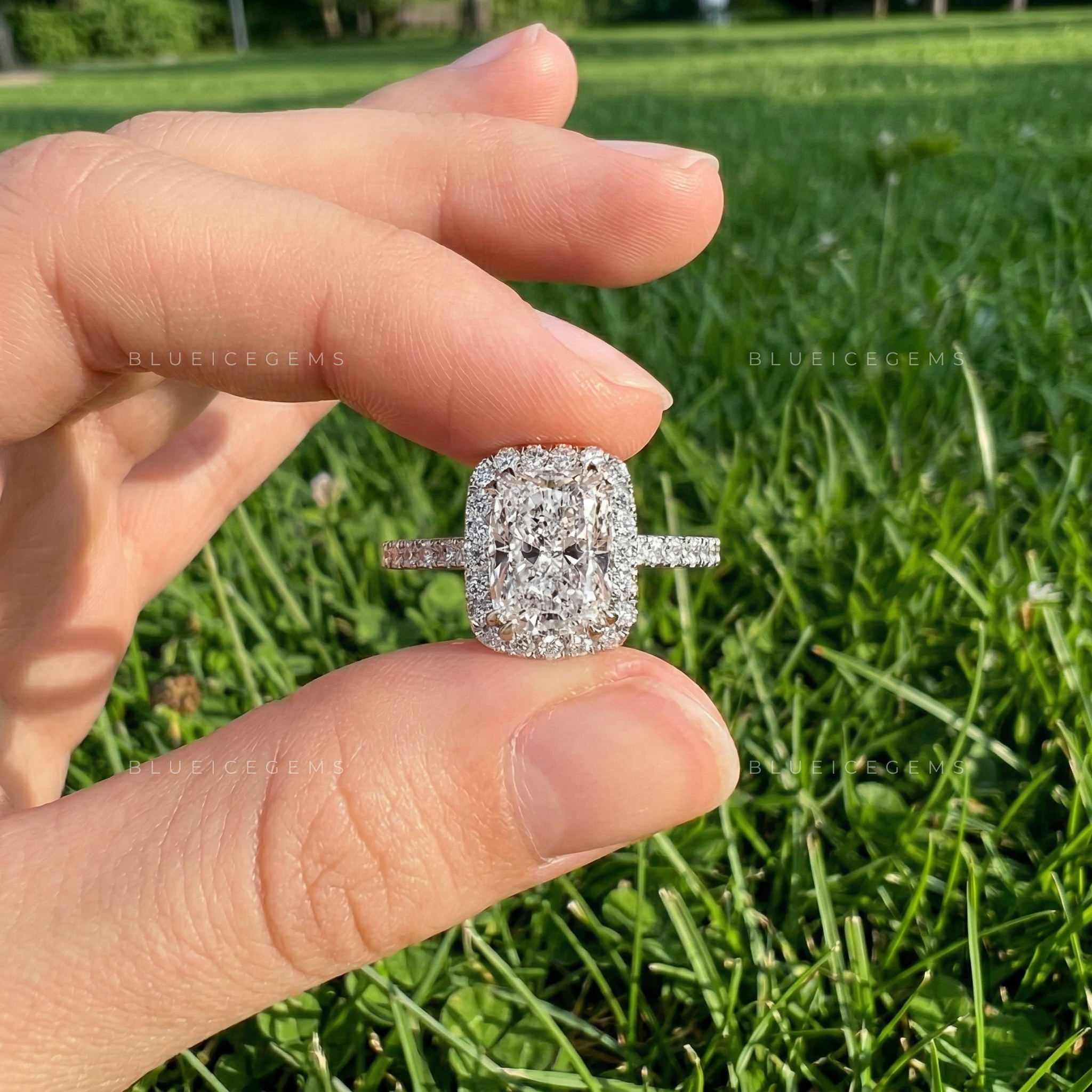 Velvet Radiance Cushion Cut Pavé Engagement Ring
