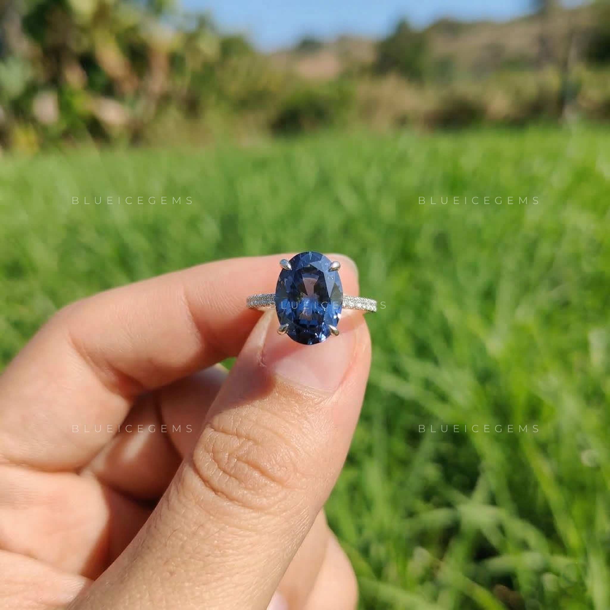 Midnight Velvet Oval Cut Pavé Engagement Ring