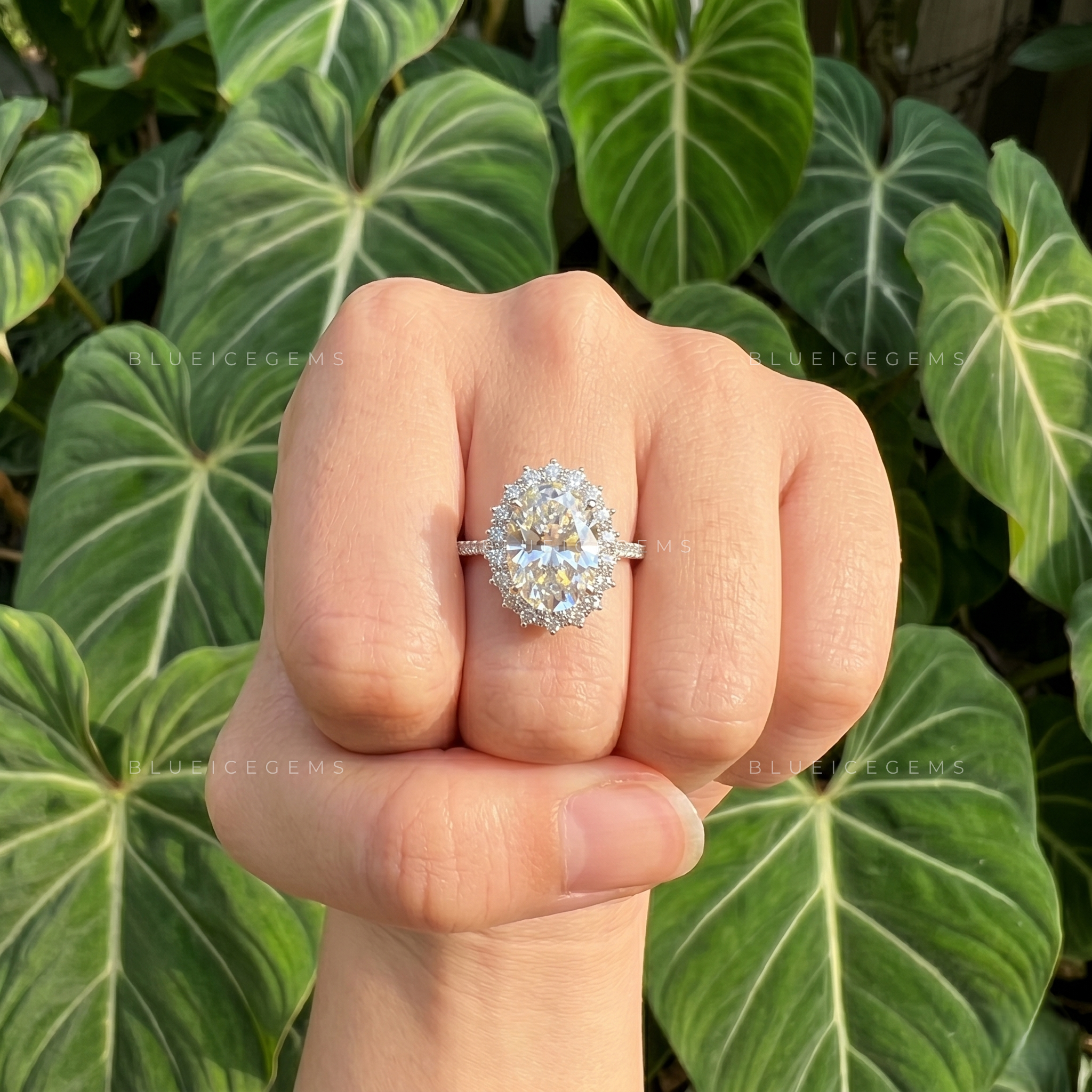 Eternal Halo Oval Cut Pavé Engagement Ring