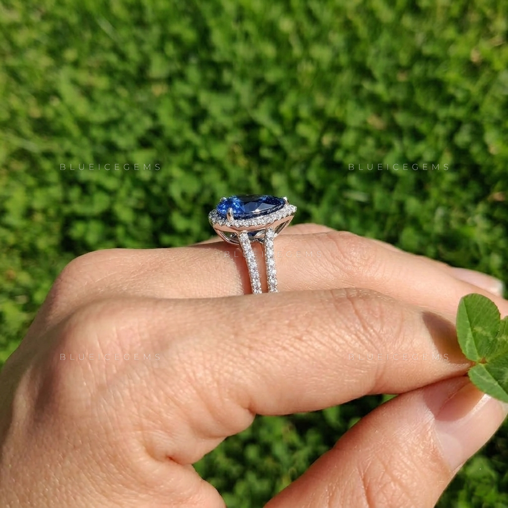 Royal Midnight Pear Sapphire Double Row Halo Ring