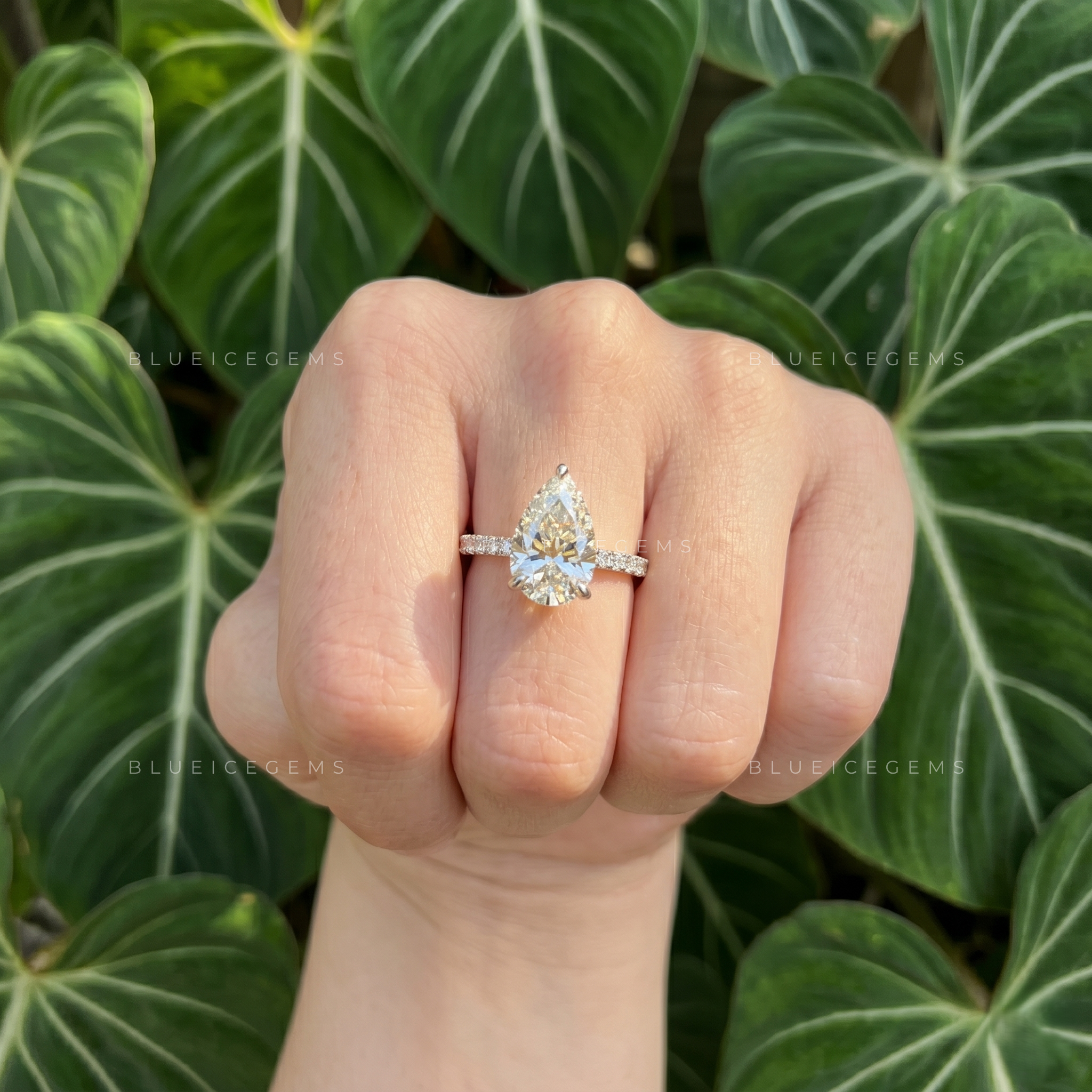 Graceful Splendor Pear Cut Hidden Halo Engagement Ring