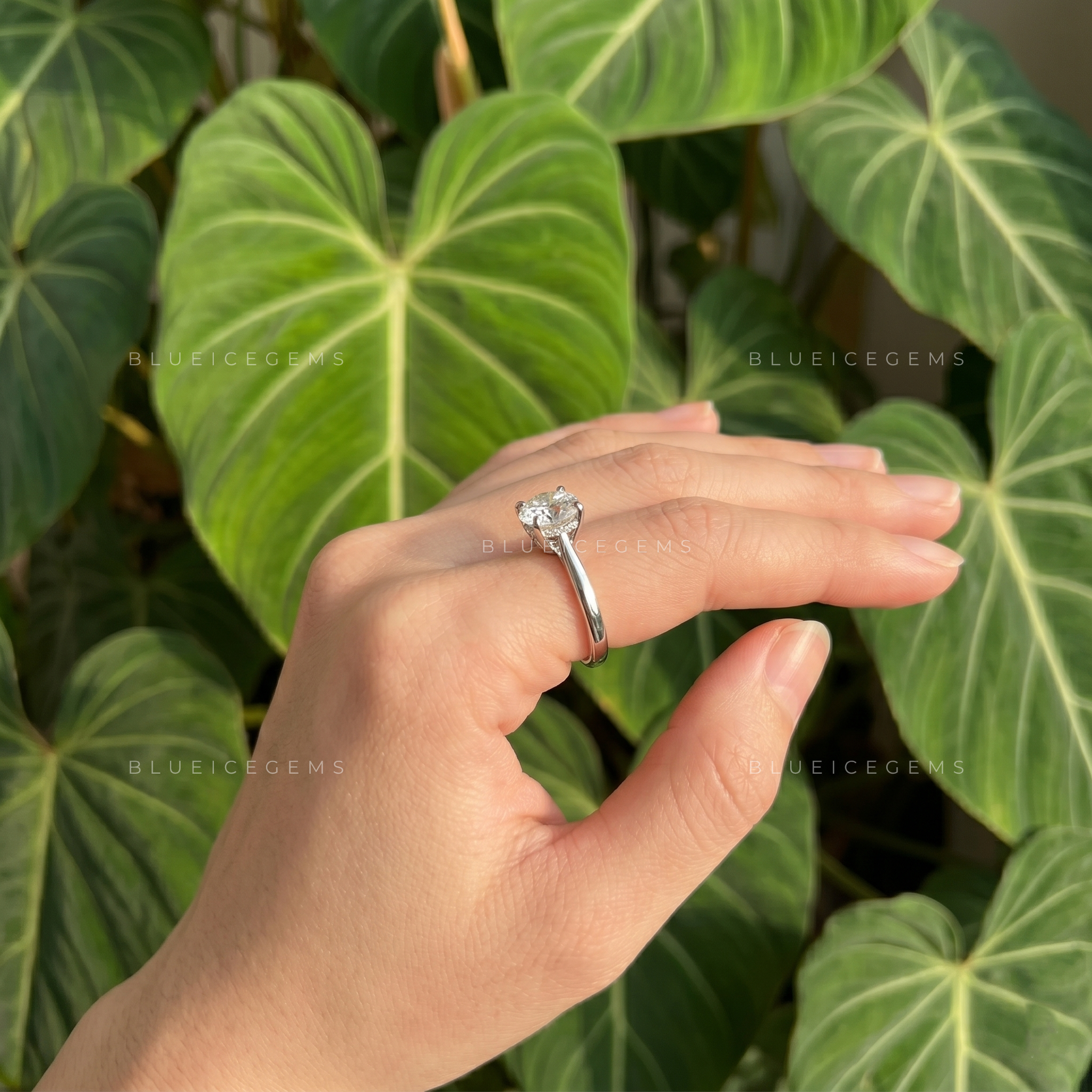 Floral Elegance Round Cut Tulip Basket Pinched Shank Solitaire Ring