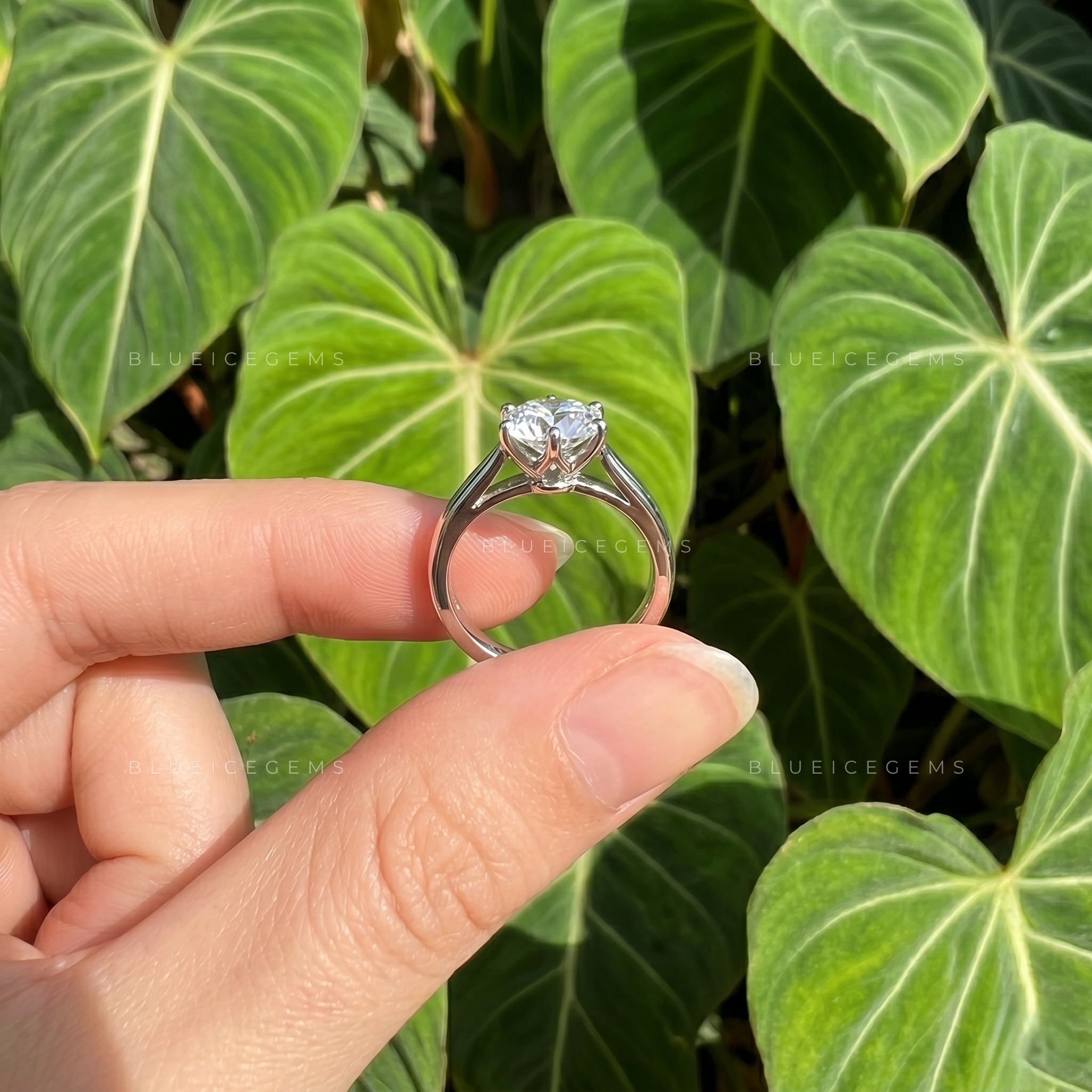 Radiant Grace Round Brilliant Solitaire Split Band Engagement Ring