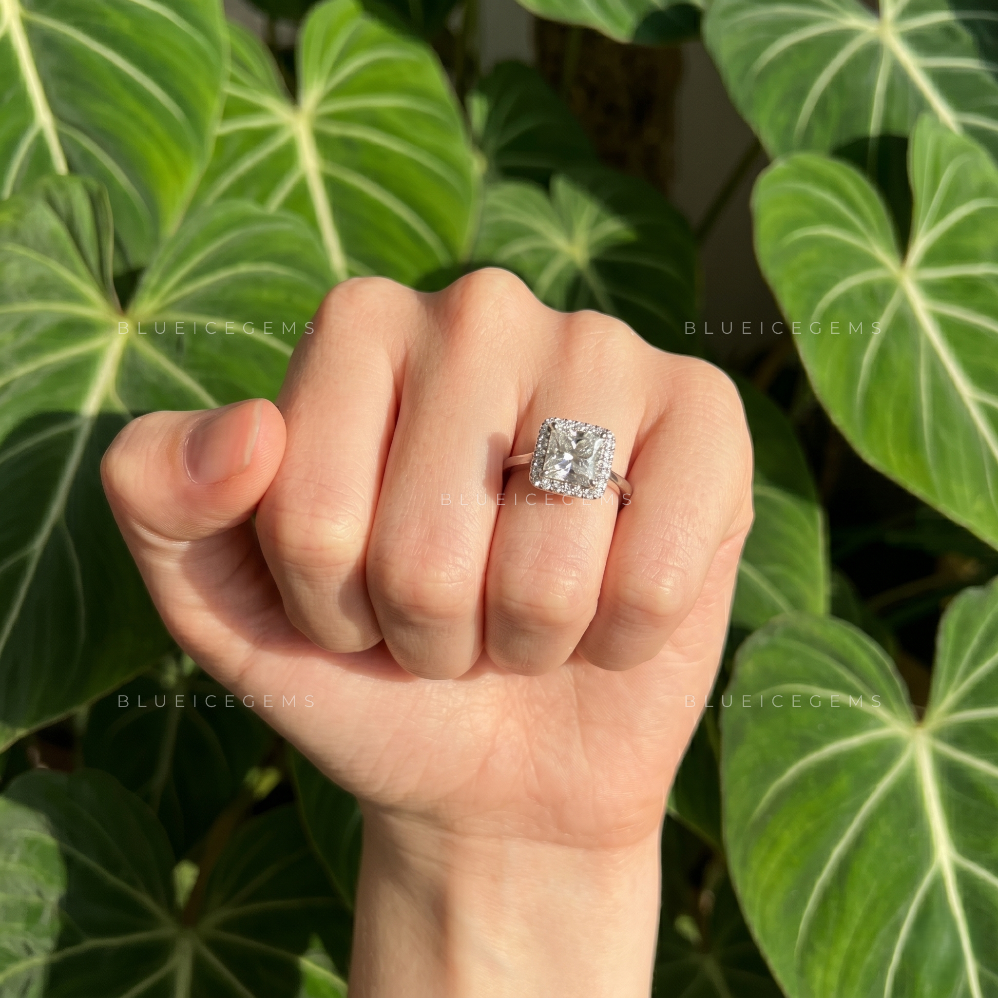Radiant Royalty Princess Cut Square Halo Engagement Ring