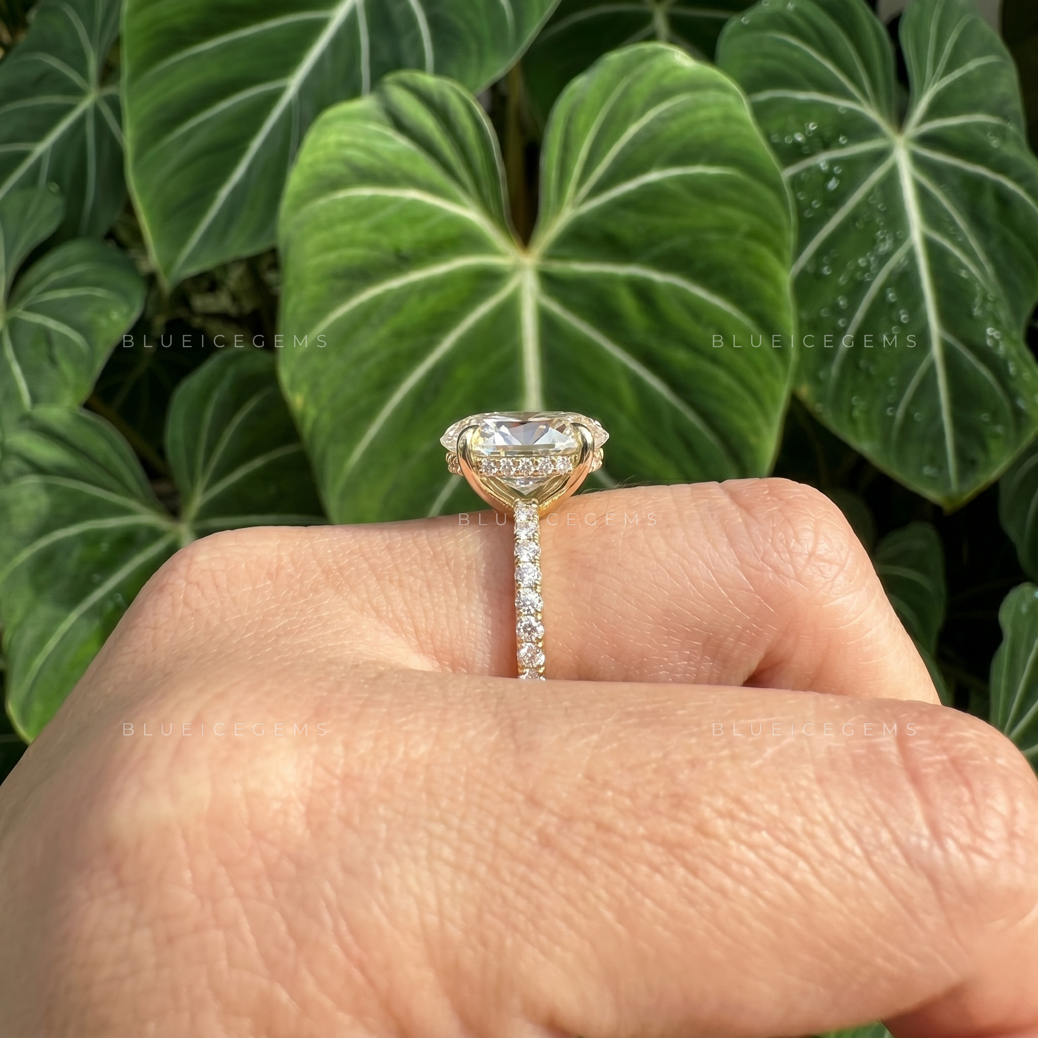 Radiant Opulence Oval Cut Double Claw Hidden Halo Engagement Ring