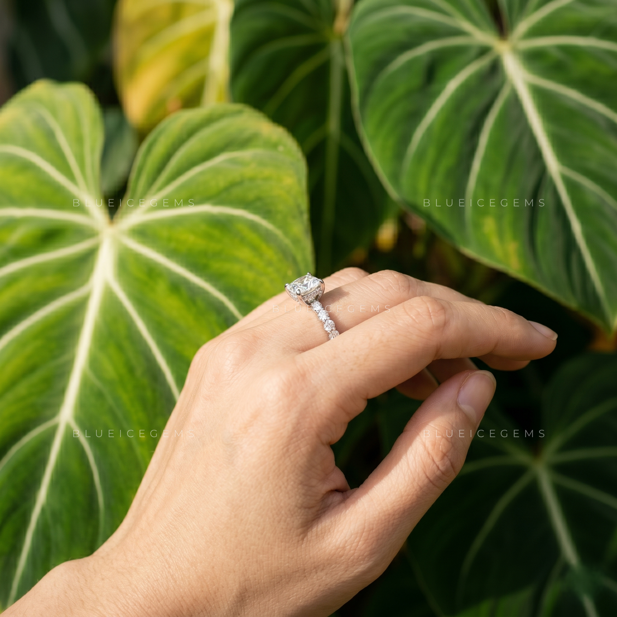 Elegance Cushion Cut Diamond Solitaire Ring with Side Accents