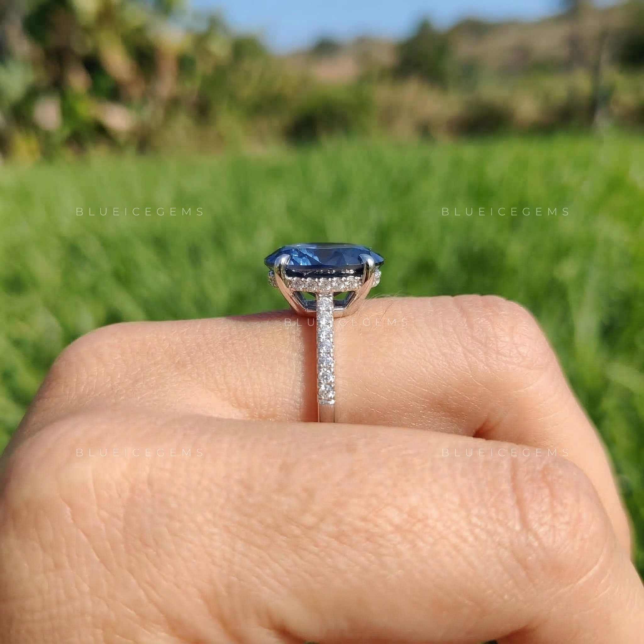 Midnight Velvet Oval Cut Pavé Engagement Ring