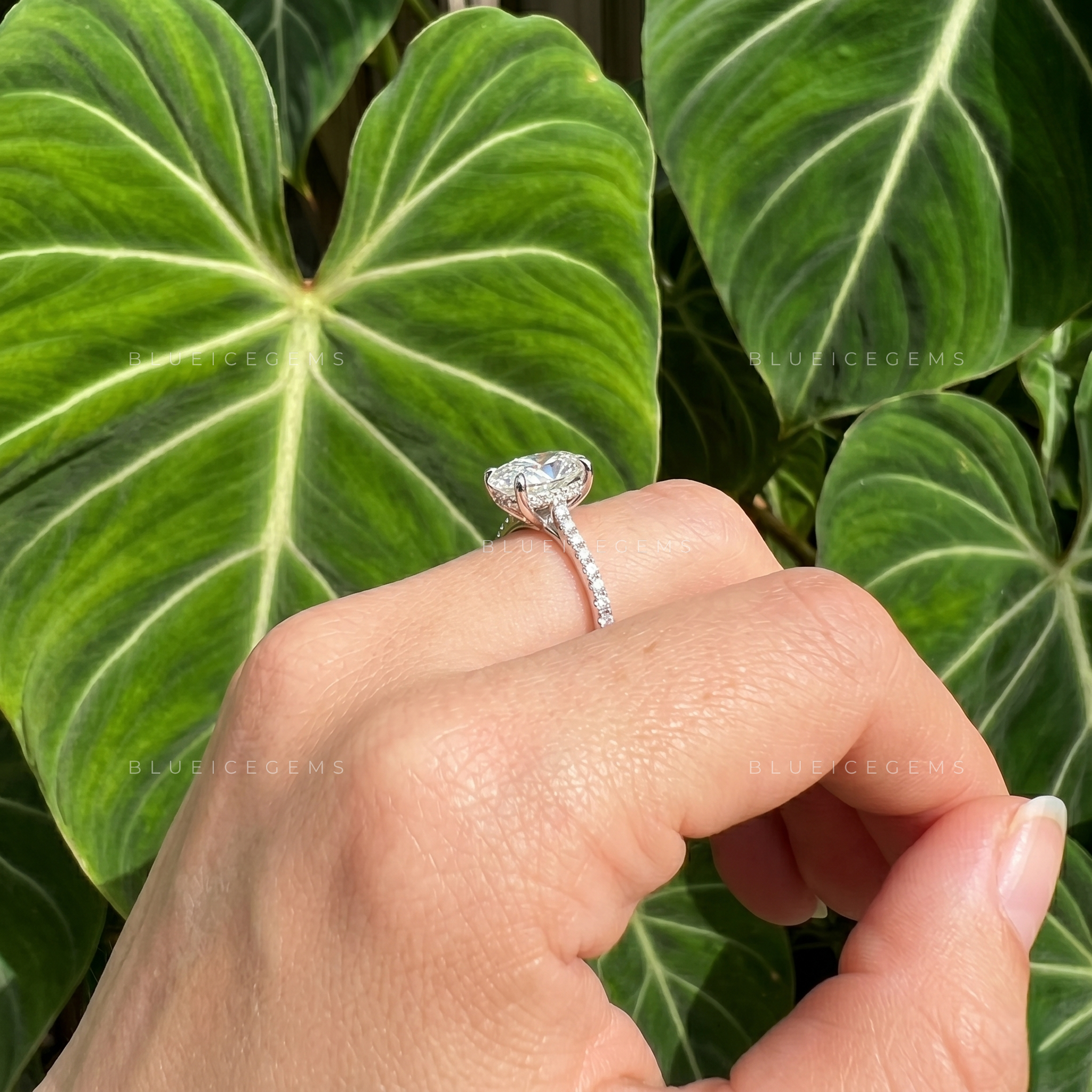Enchanted Whisper Hidden Halo Oval Cut Engagement Ring