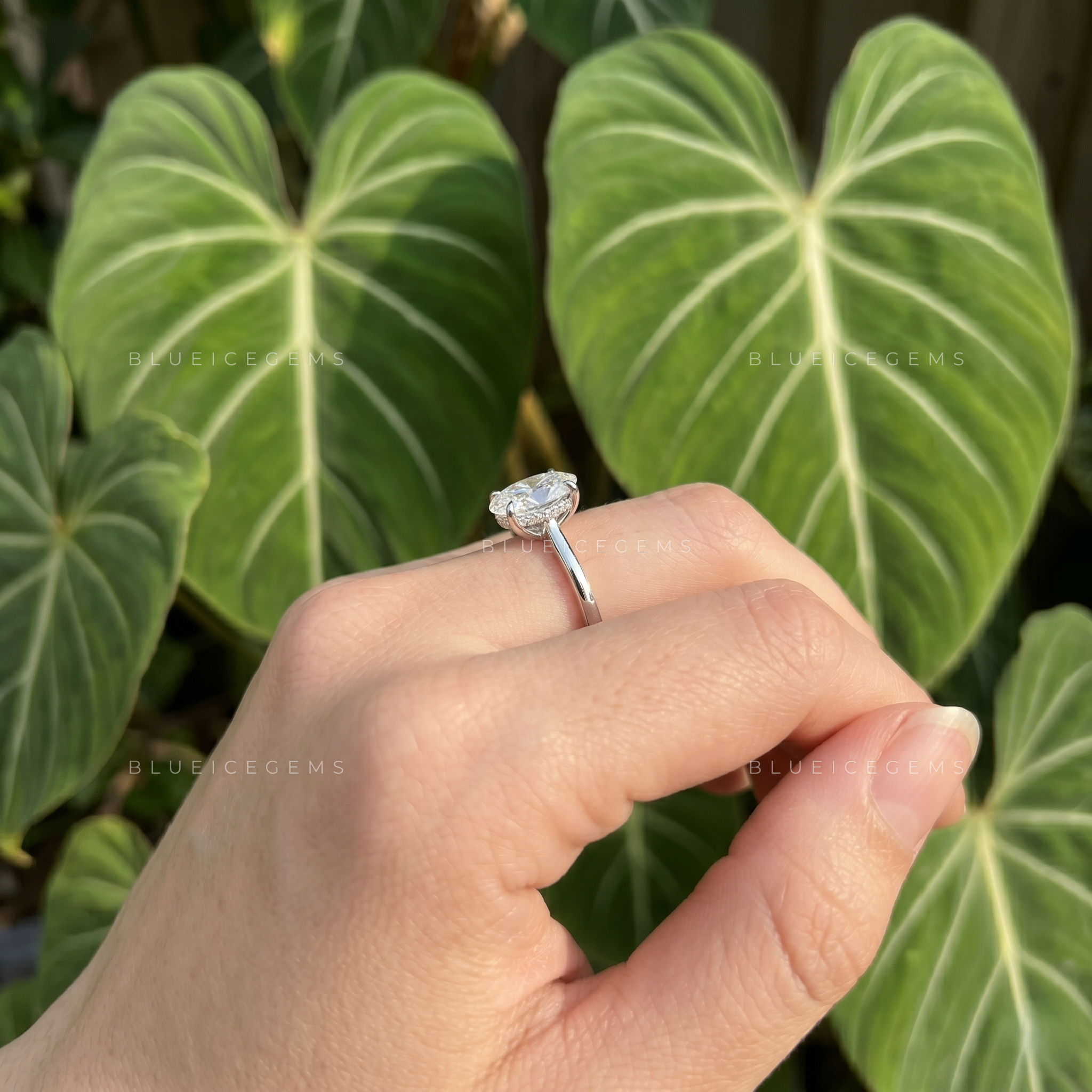 Luminous Splendor Certified Oval Cut Solitaire Engagement Ring