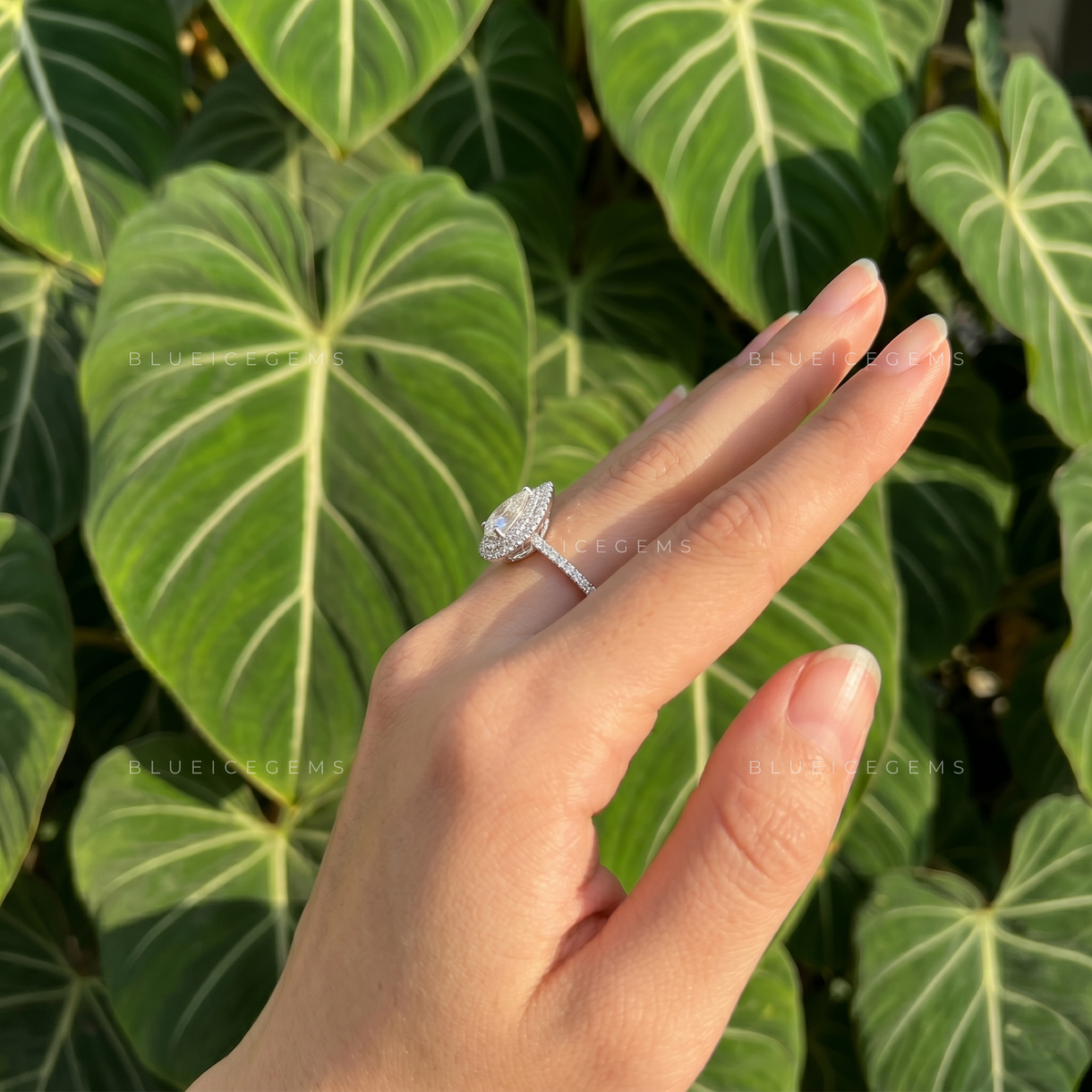 Luminous Majesty Pear Cut Double Halo Engagement Ring