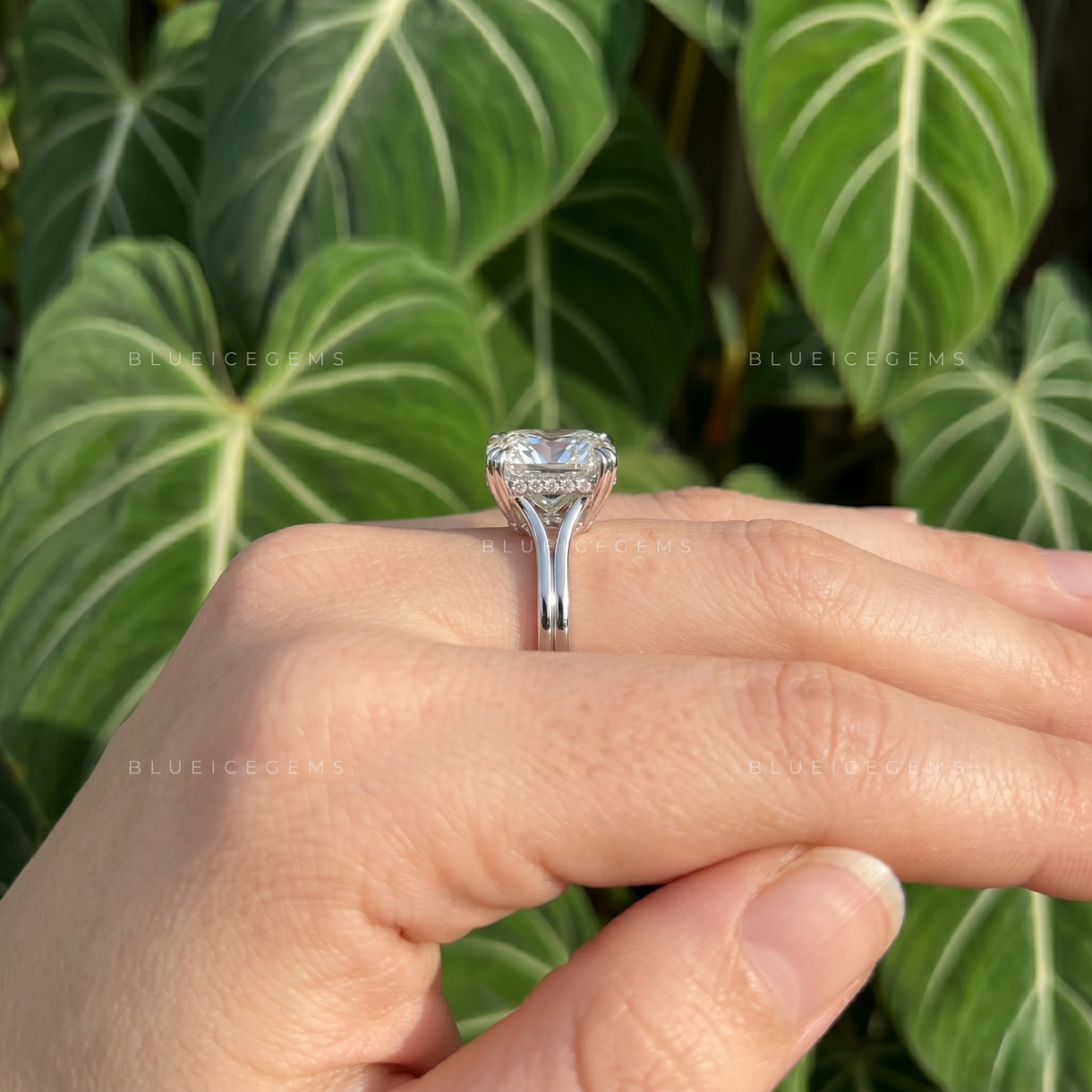 Velvet Radiance Cushion Cut Split Shank Trellis Engagement Ring