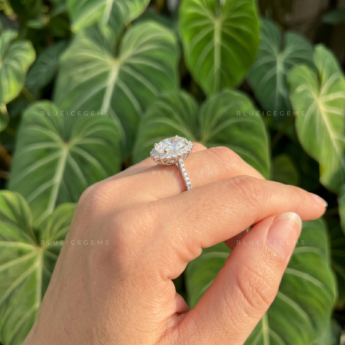 Eternal Halo Oval Cut Pavé Engagement Ring