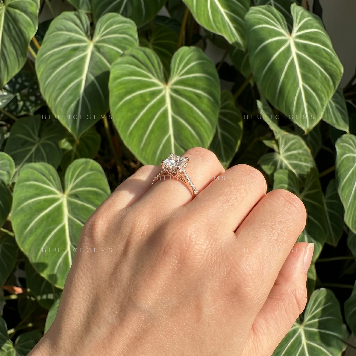 Regal Splendor Princess Cut Pave Engagement Ring