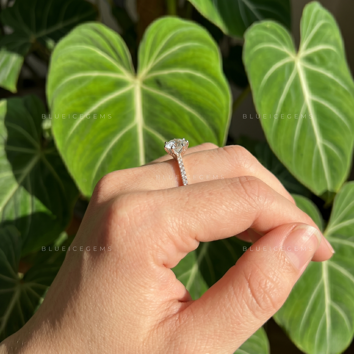 Infinite Glow Round Brilliant Cut Hidden Halo Engagement Ring