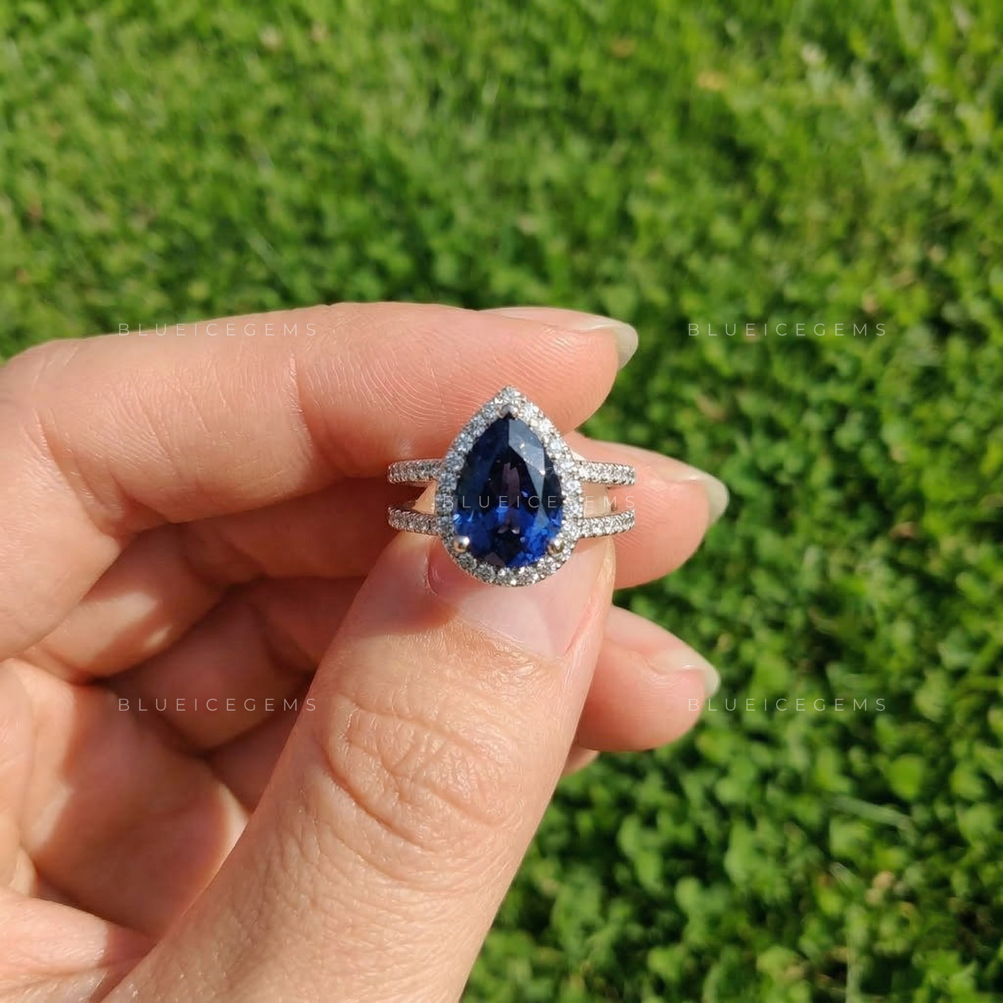 Royal Midnight Pear Sapphire Double Row Halo Ring