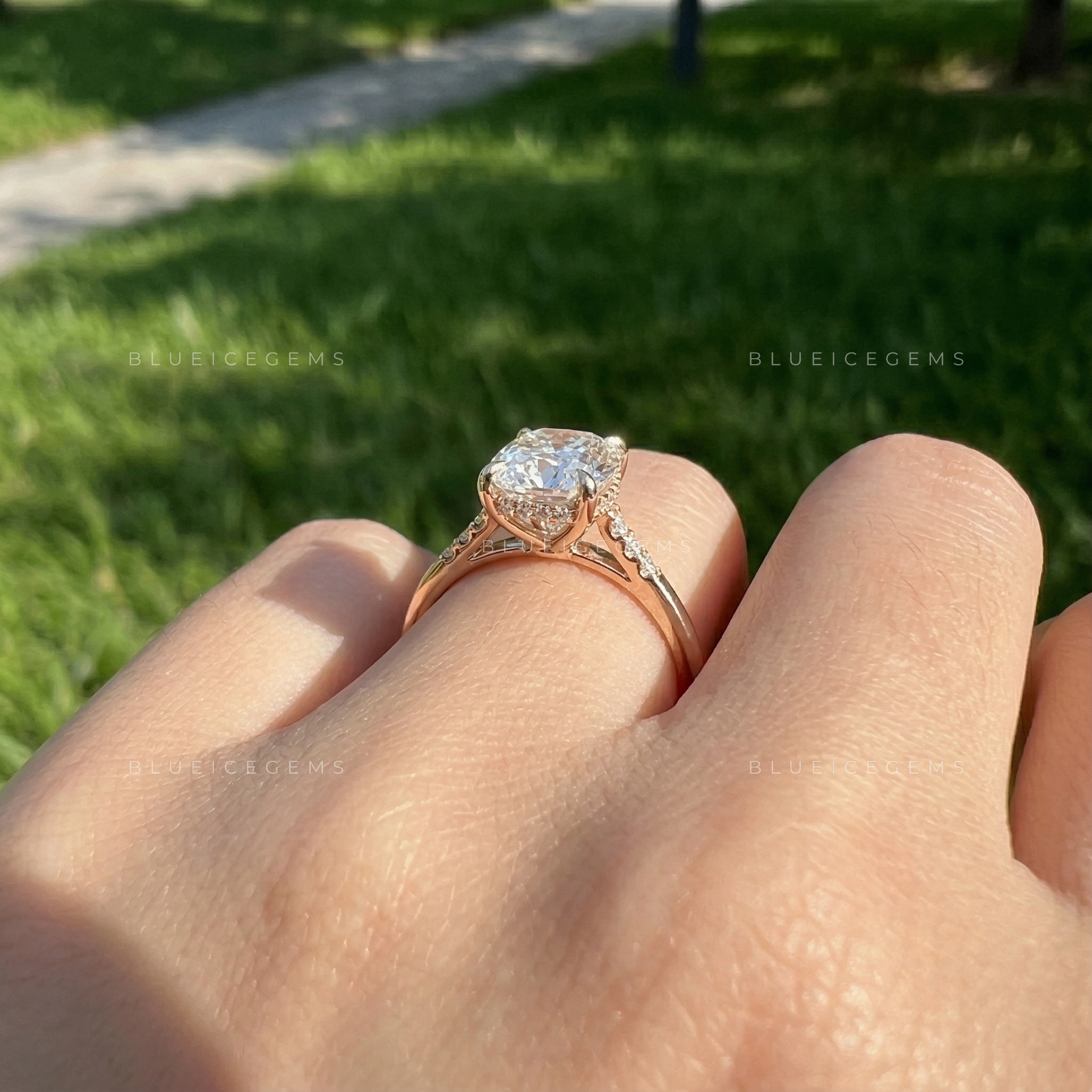 The "Secret Sparkle" Elongated Cushion: Hidden Halo Dream Ring
