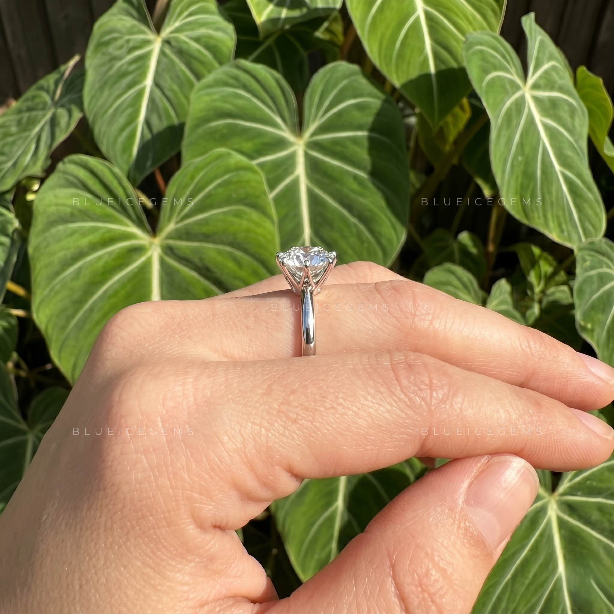 Pure Splendor Classic Six Prong Round Cut Solitaire Engagement Ring