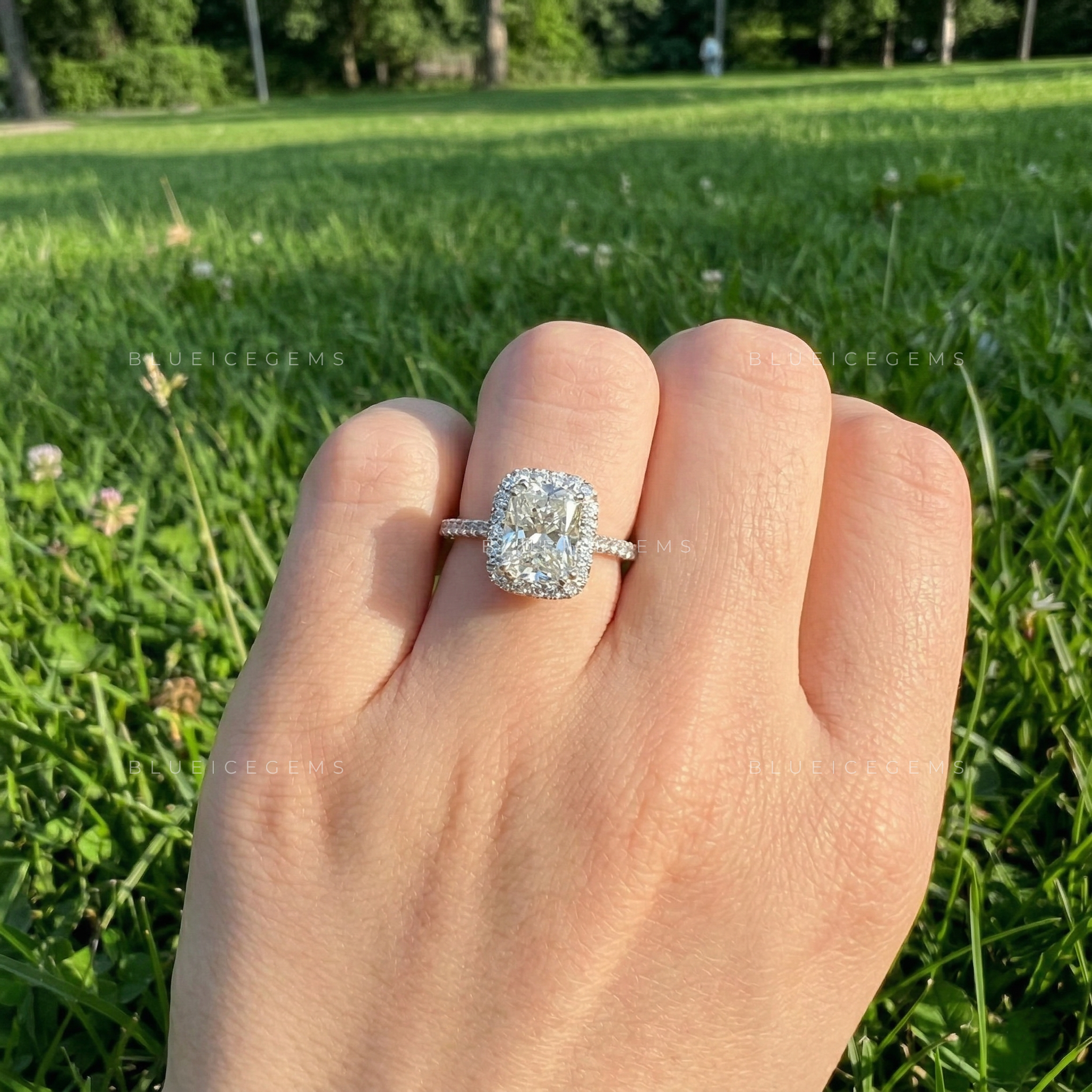 Velvet Radiance Cushion Cut Pavé Engagement Ring