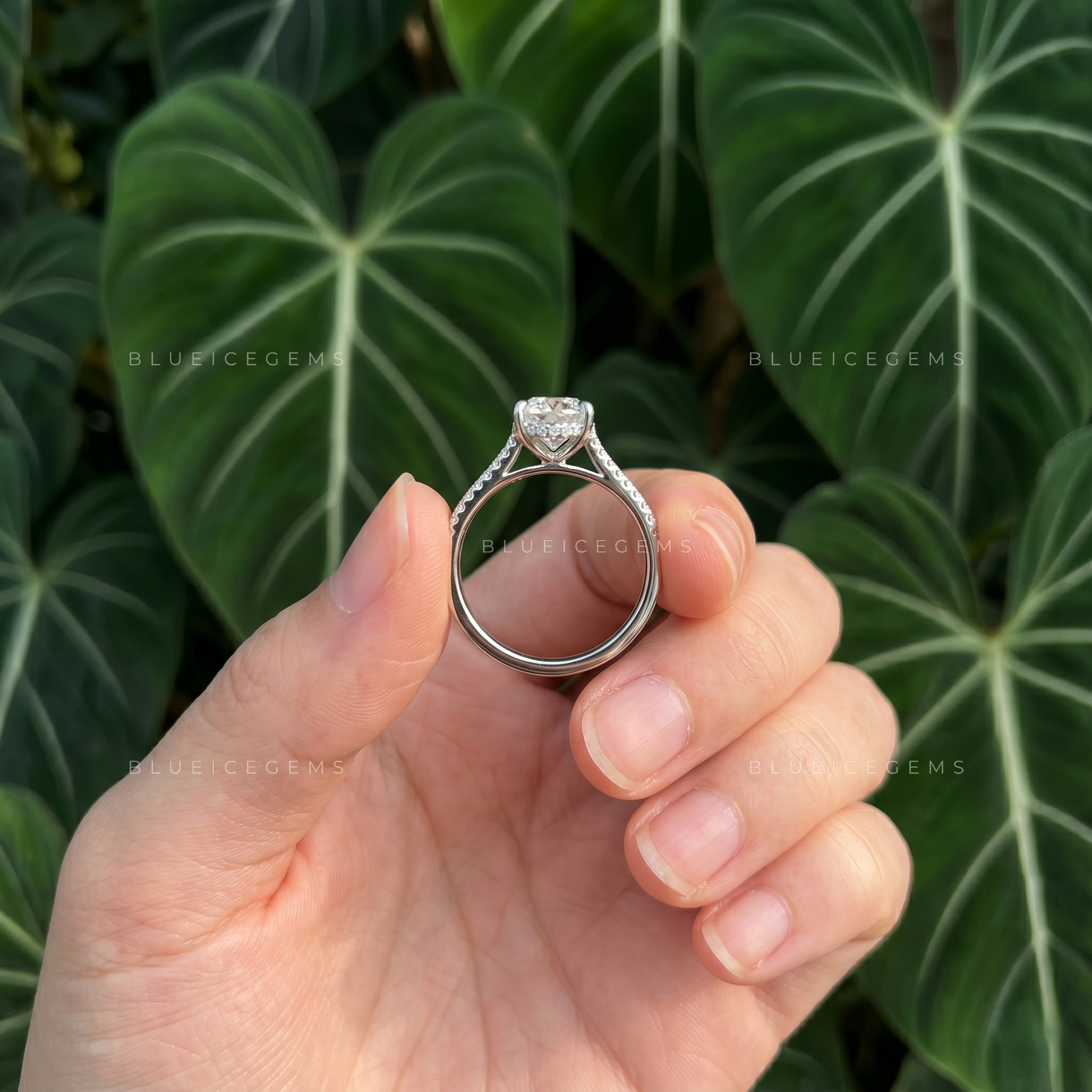 Graceful Pear Cut Hidden Halo Engagement Ring