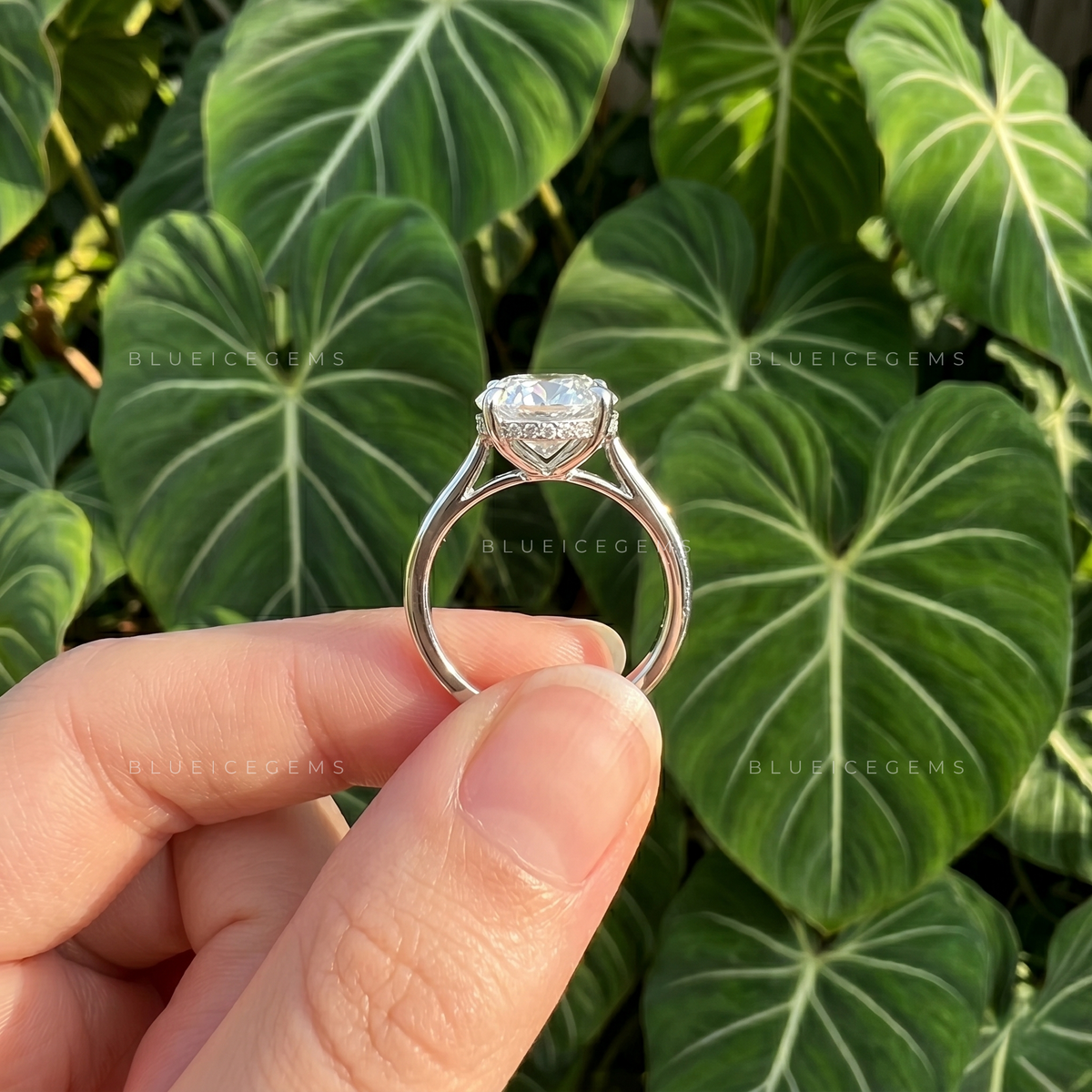 Radiant Oval Brilliant Cut Solitaire Engagement Ring