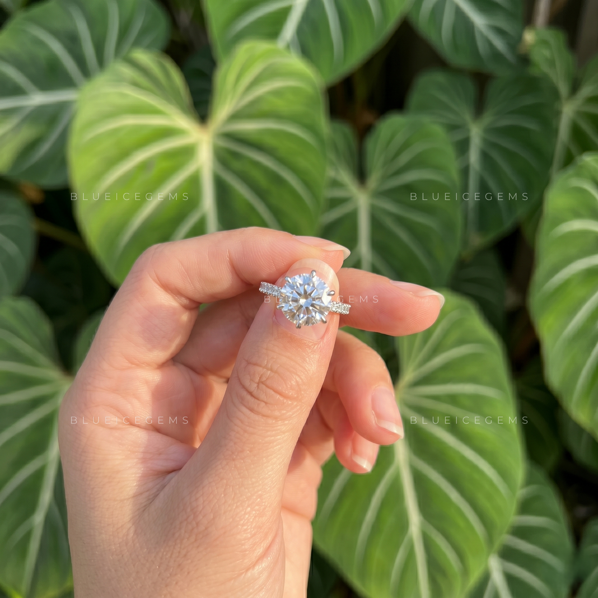 Enchanted Bloom Round Brilliant Cut Tulip Setting Pave Engagement Ring