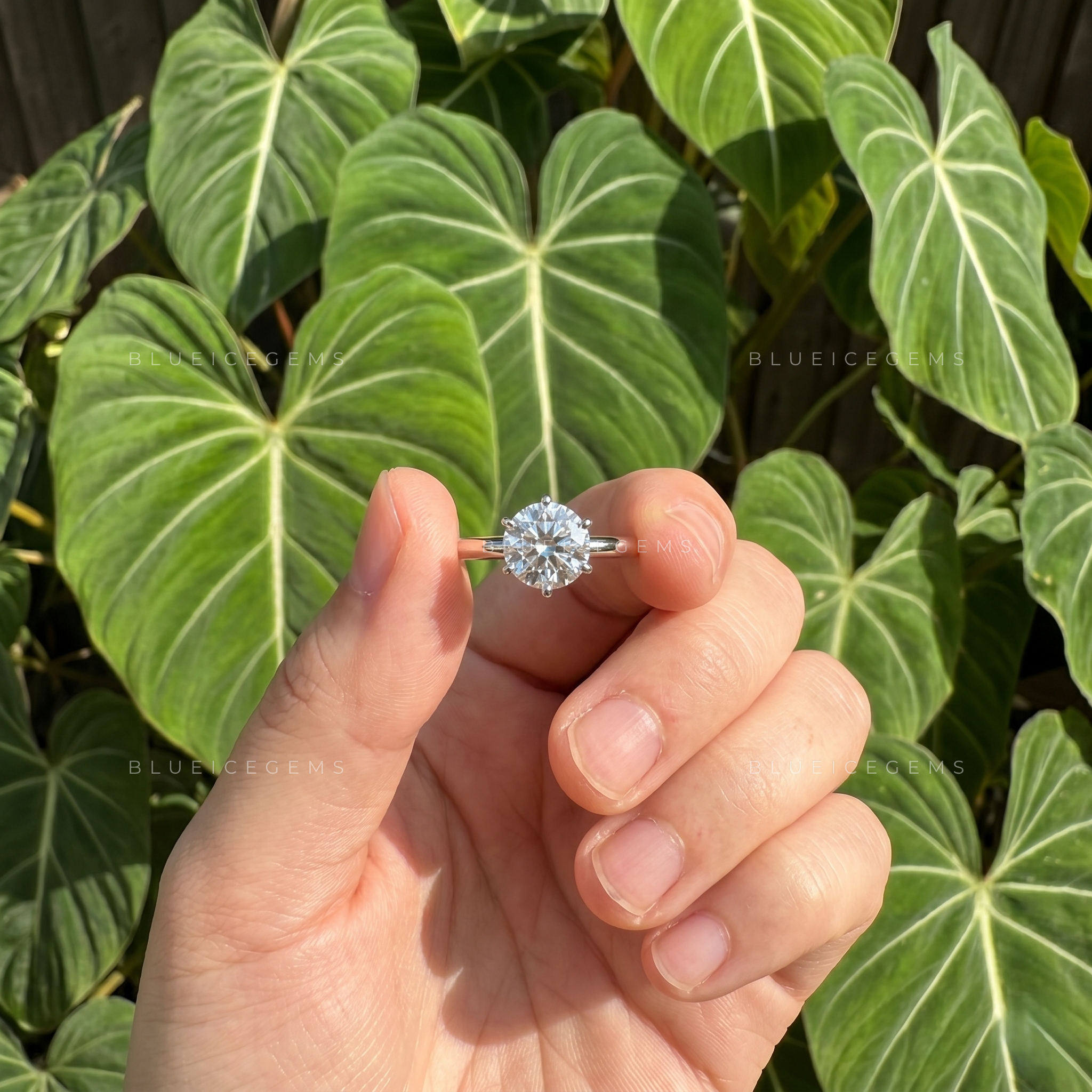 Pure Splendor Classic Six Prong Round Cut Solitaire Engagement Ring