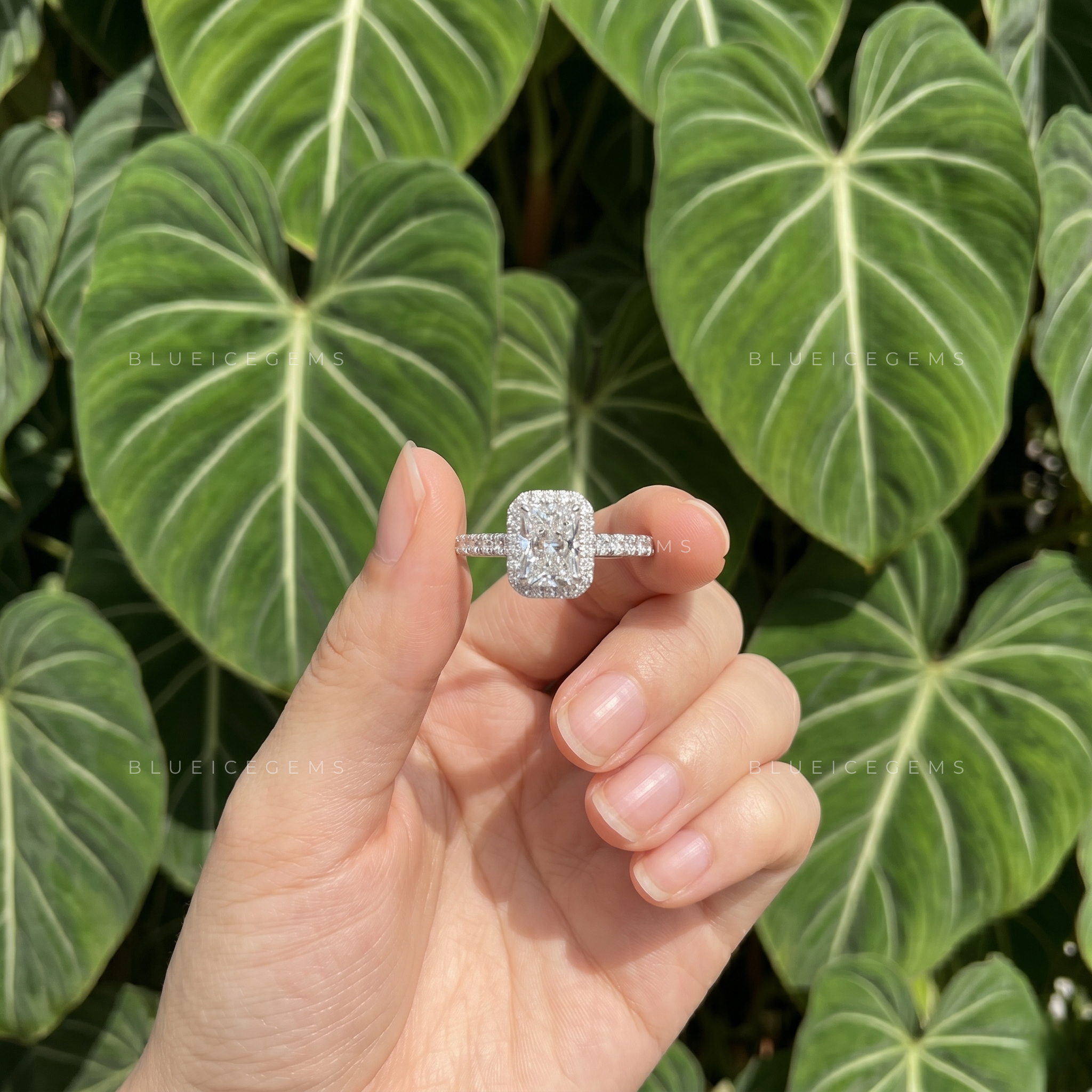 Dazzling Majesty Radiant Cut Halo Engagement Ring