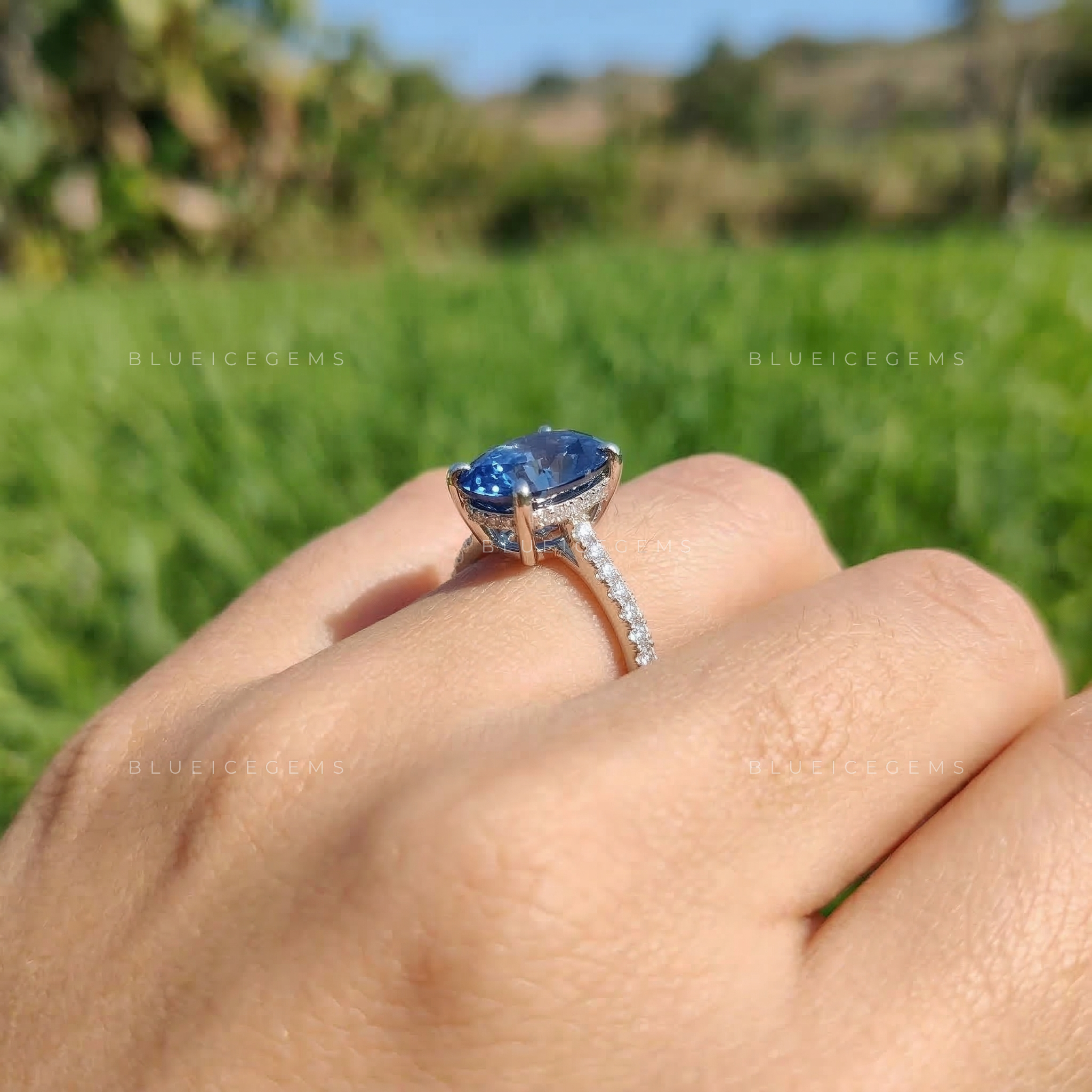Midnight Velvet Oval Cut Pavé Engagement Ring