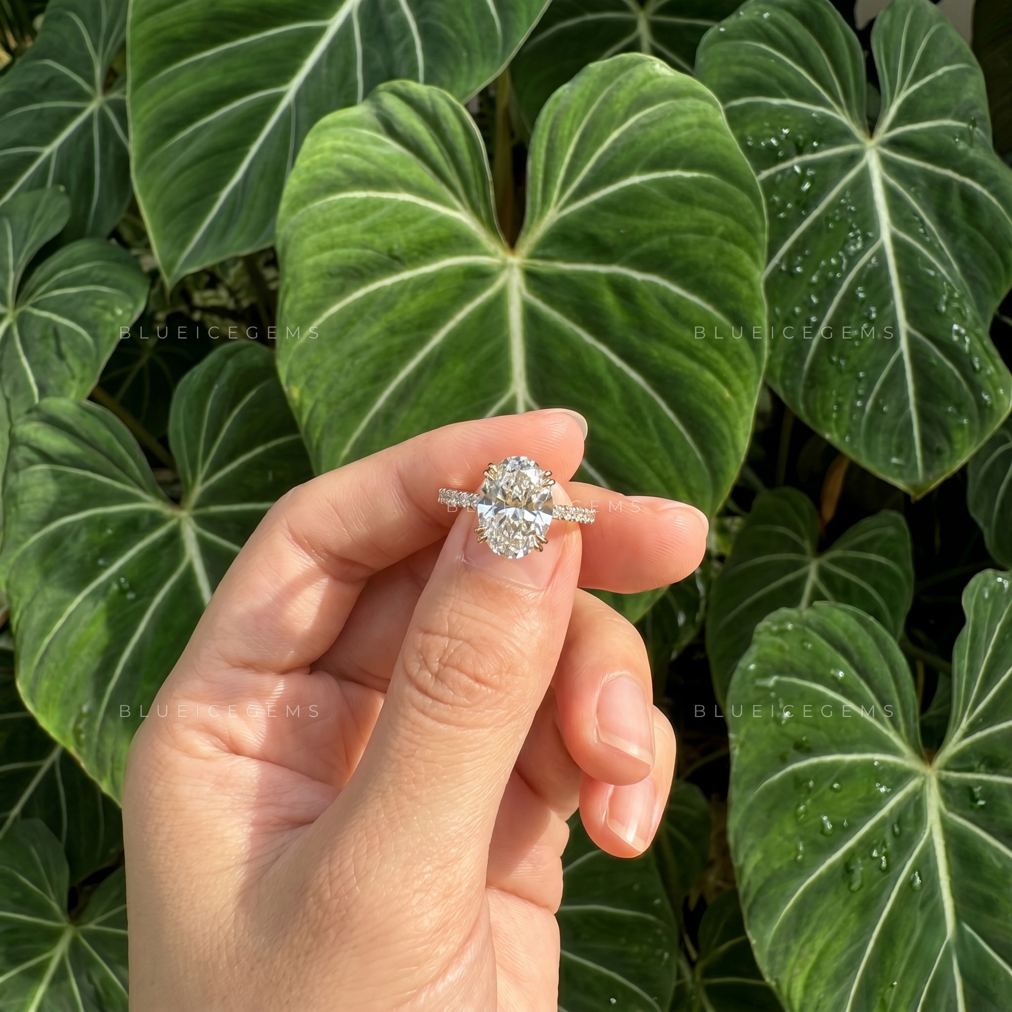 Radiant Opulence Oval Cut Double Claw Hidden Halo Engagement Ring