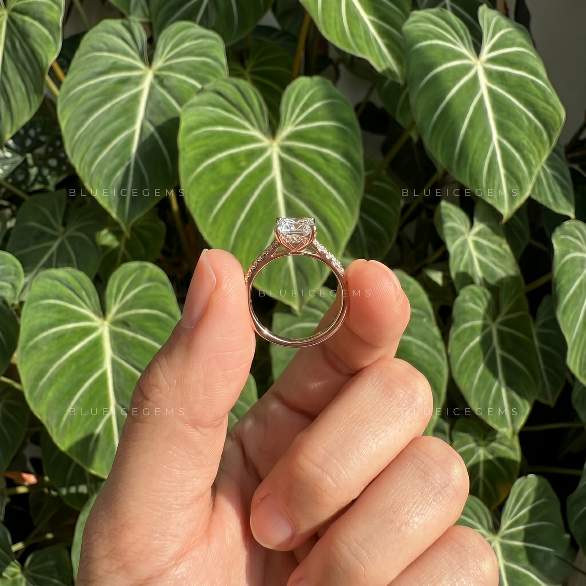 Regal Splendor Princess Cut Pave Engagement Ring