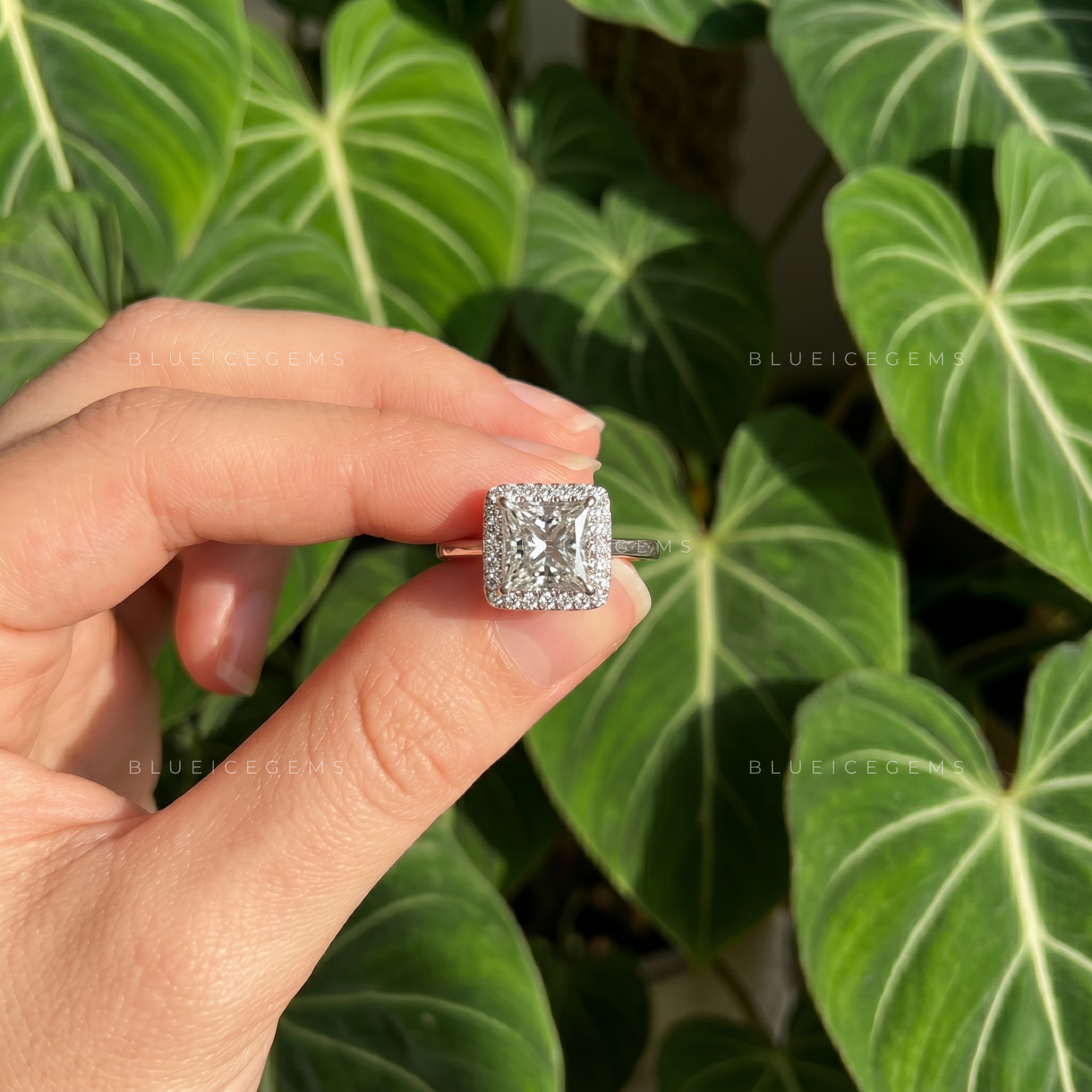 Radiant Royalty Princess Cut Square Halo Engagement Ring