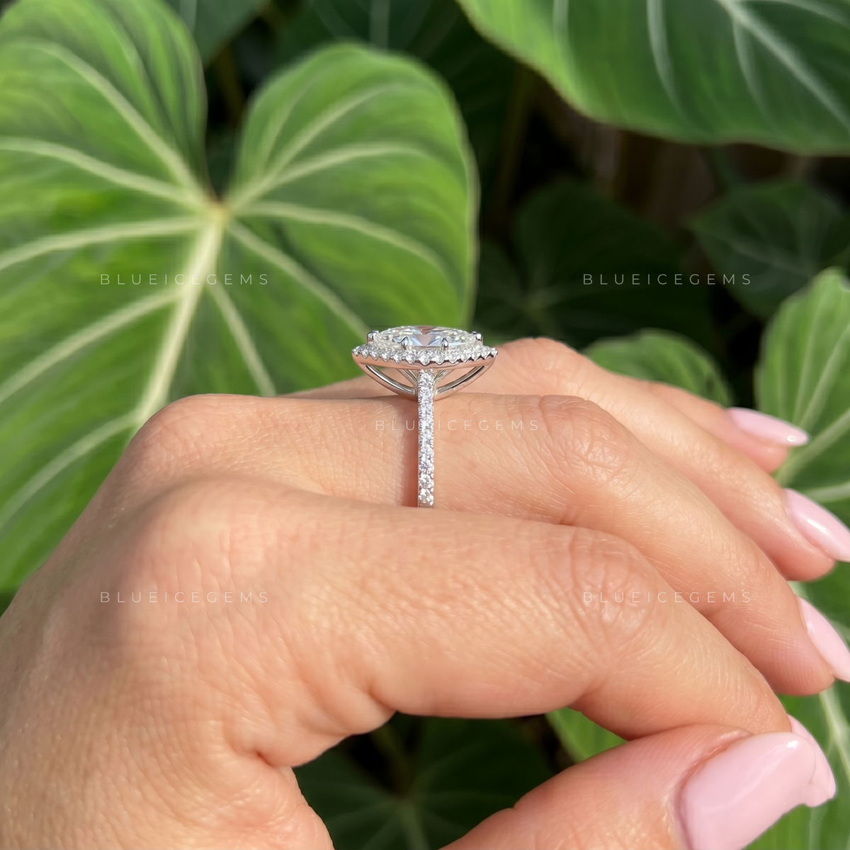 Regal Luminescence Marquise Cut Halo Cathedral Engagement Ring