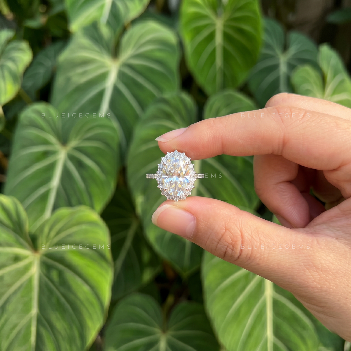 Eternal Halo Oval Cut Pavé Engagement Ring