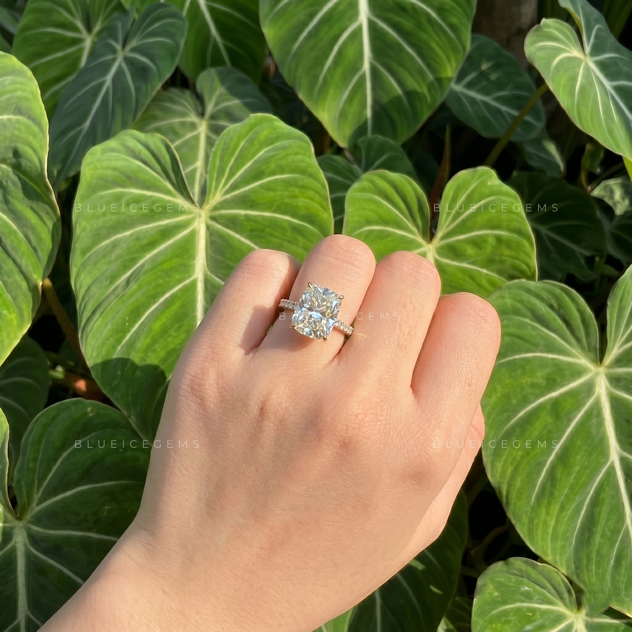 Opulent Majesty Elongated Cushion Cut Pave Engagement Ring