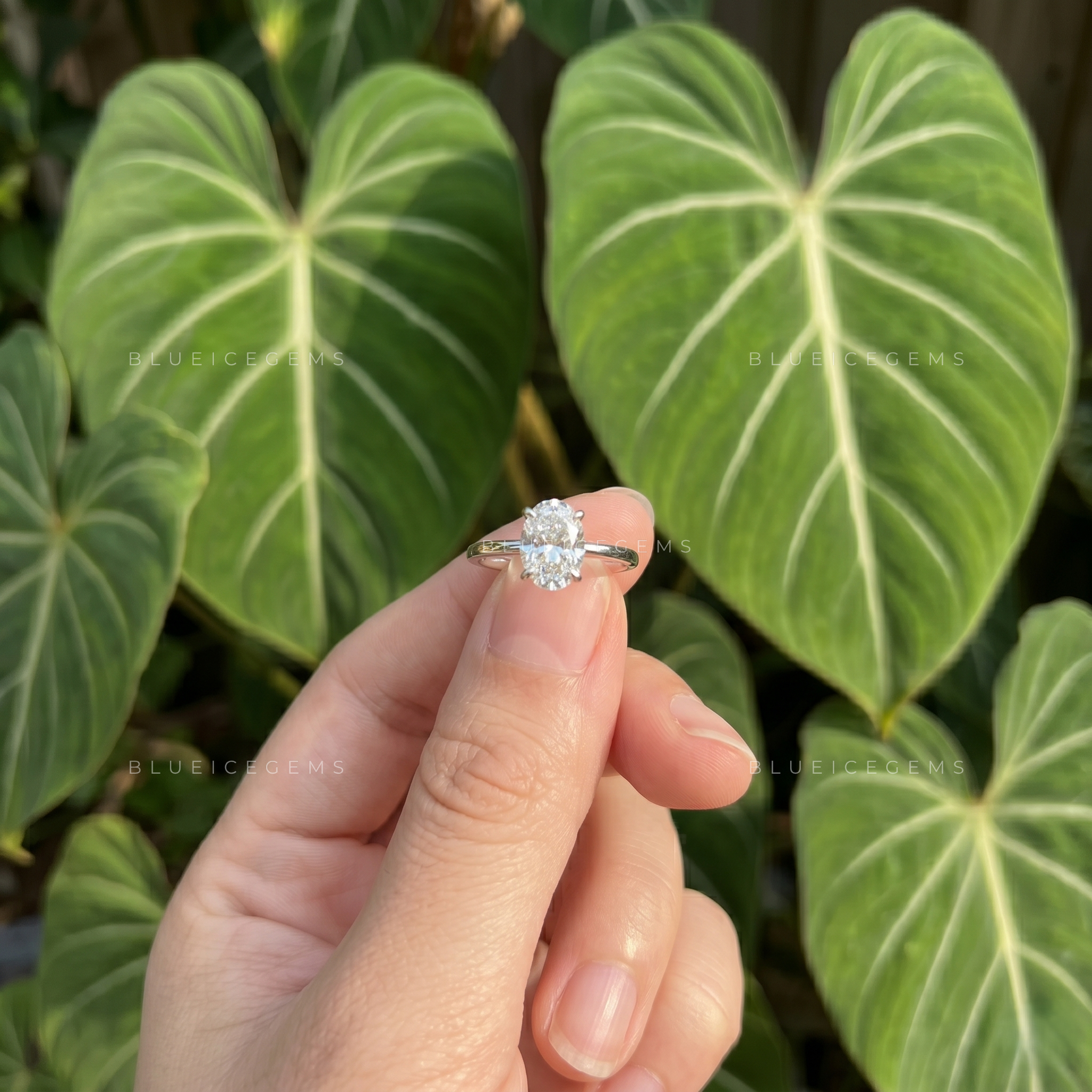 Luminous Splendor Certified Oval Cut Solitaire Engagement Ring