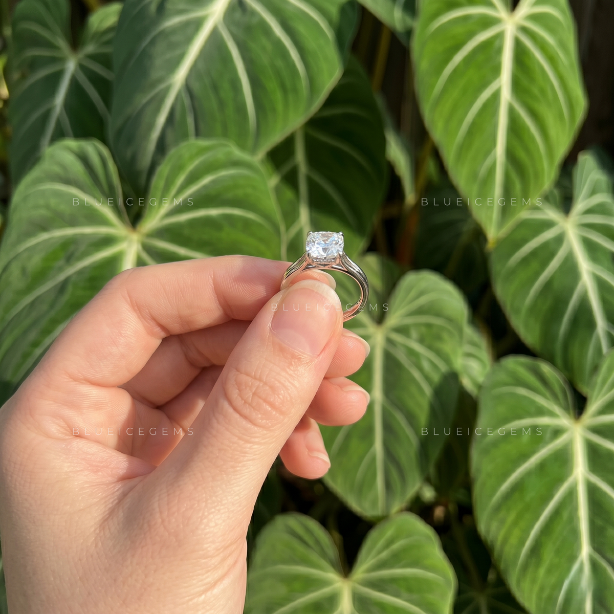 Velvet Radiance Cushion Cut Split Shank Trellis Engagement Ring