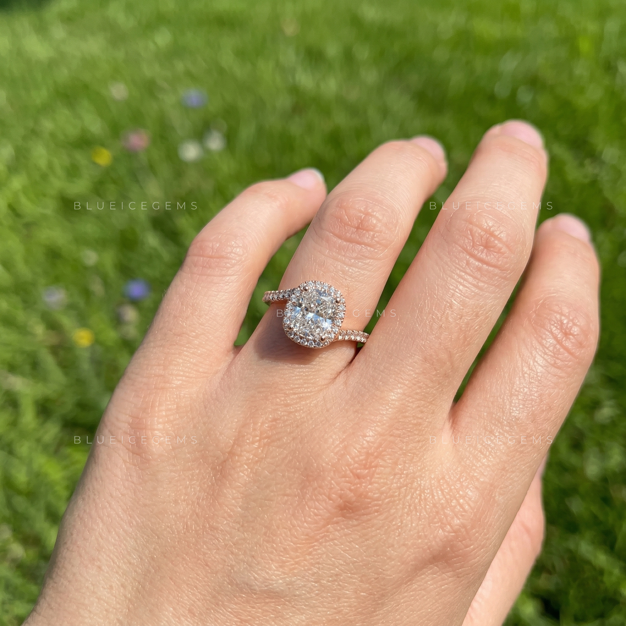 Velvet Radiance Cushion Cut Pavé Engagement Ring