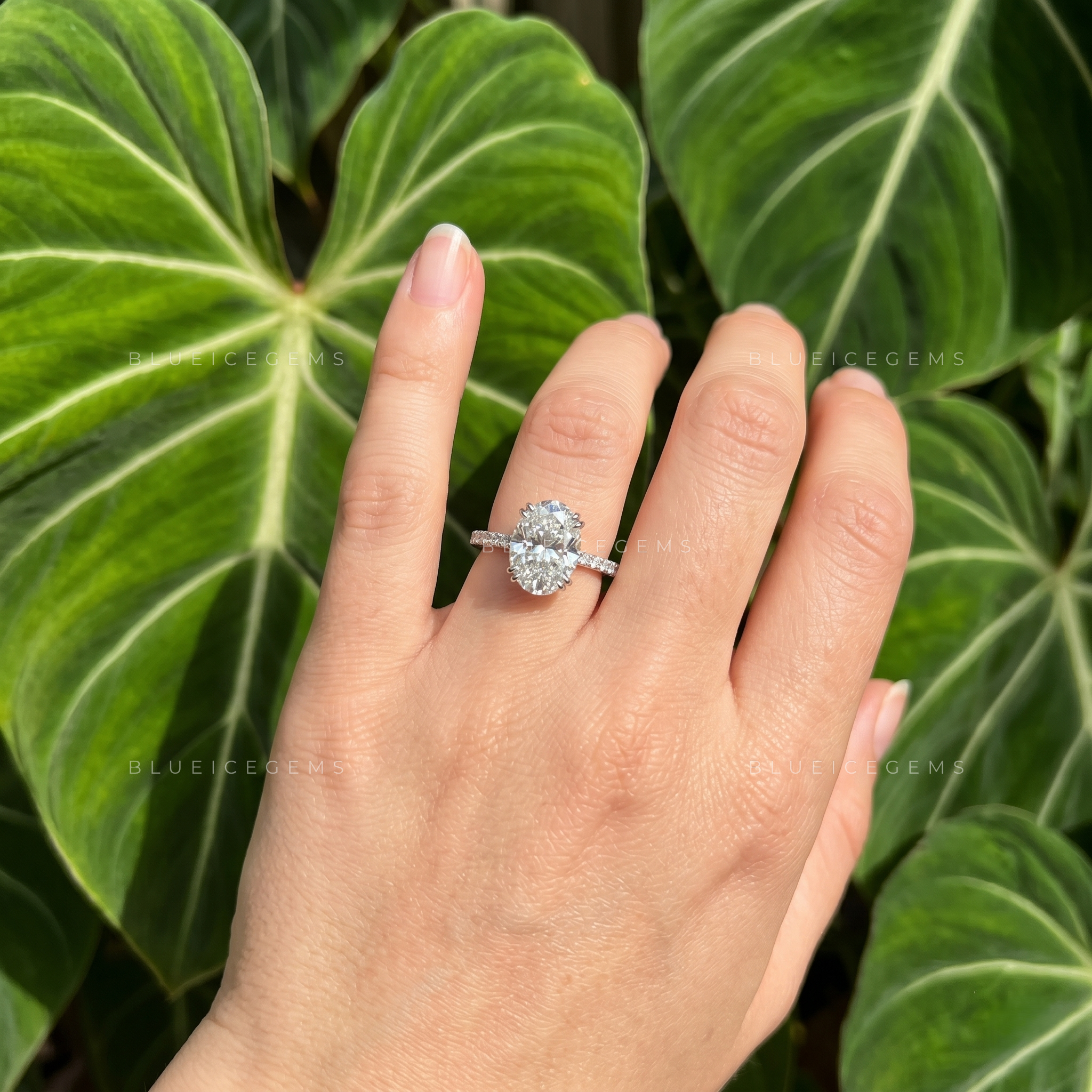 Enchanted Whisper Hidden Halo Oval Cut Engagement Ring