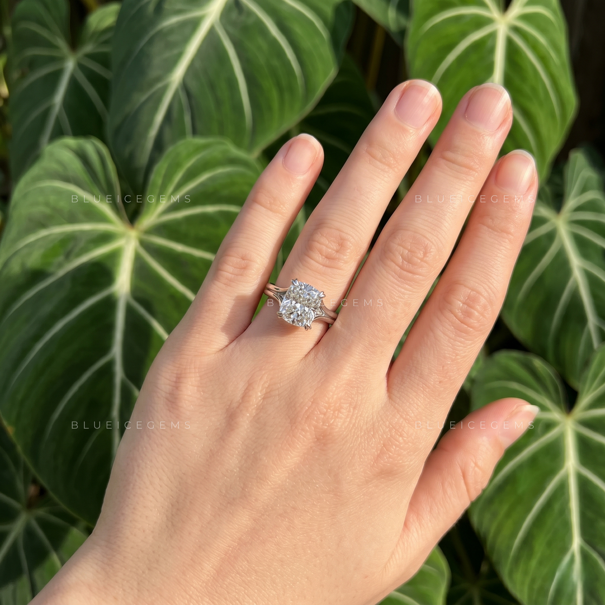 Velvet Radiance Cushion Cut Split Shank Trellis Engagement Ring