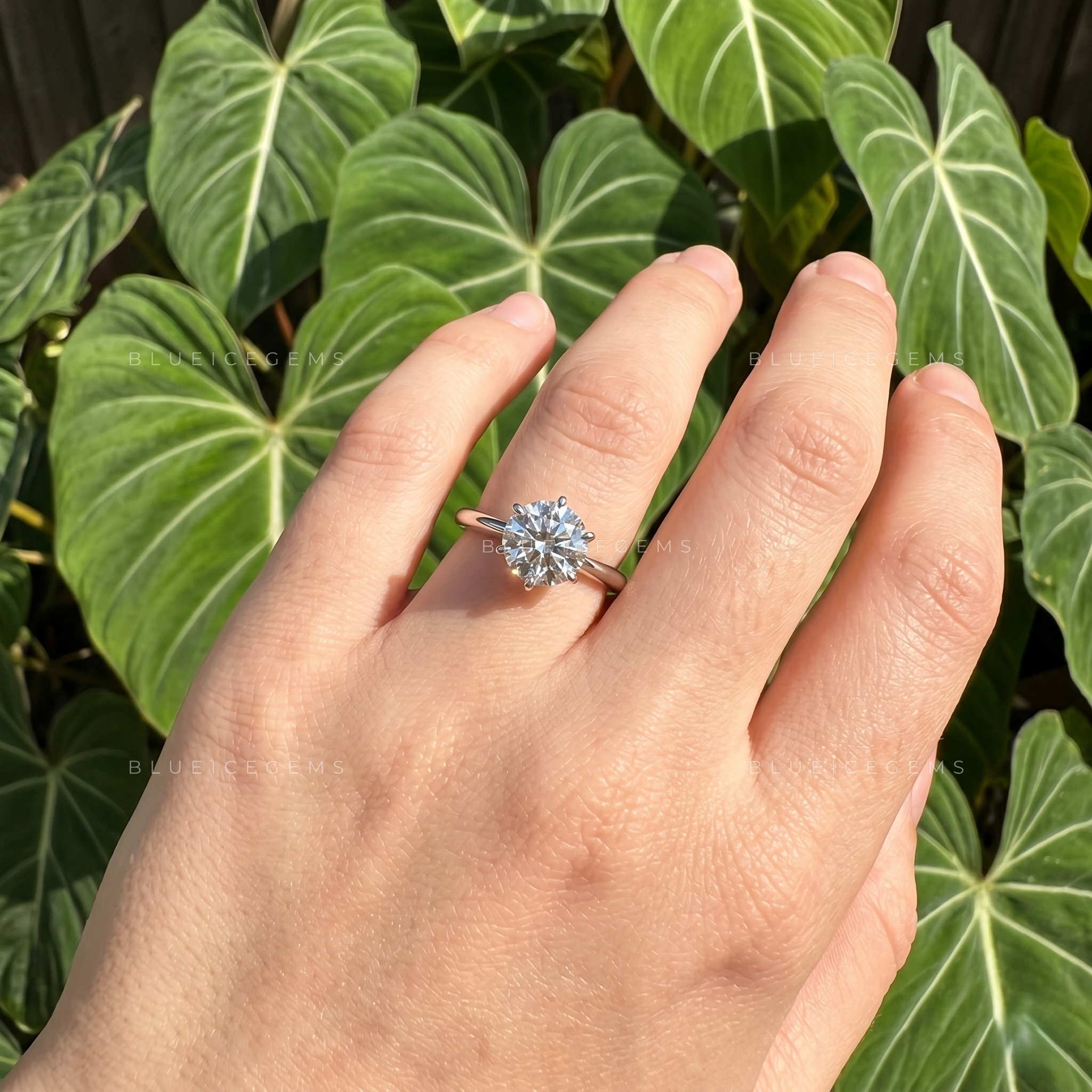 Pure Splendor Classic Six Prong Round Cut Solitaire Engagement Ring