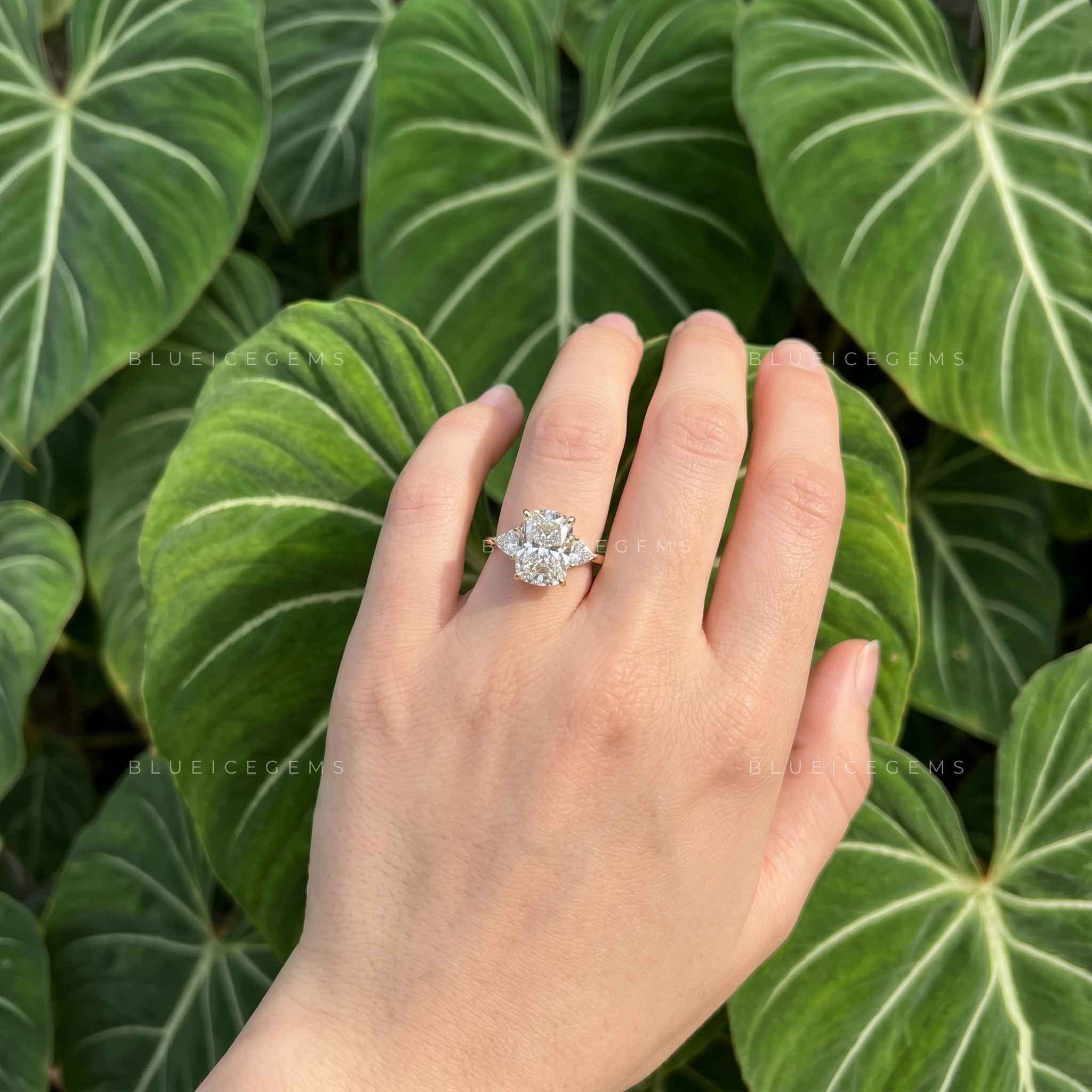 Radiant Symmetry Elongated Cushion Cut Trillion Three Stone Engagement Ring