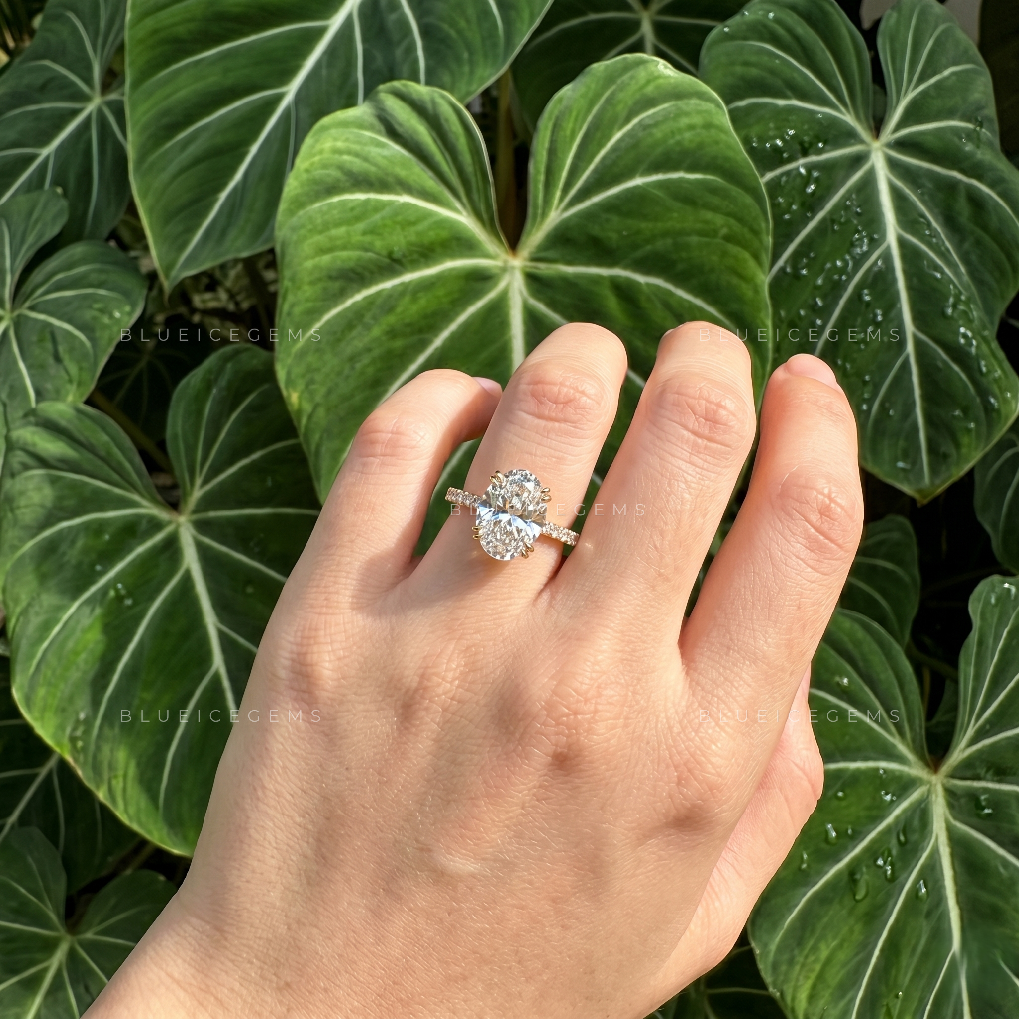 Radiant Opulence Oval Cut Double Claw Hidden Halo Engagement Ring