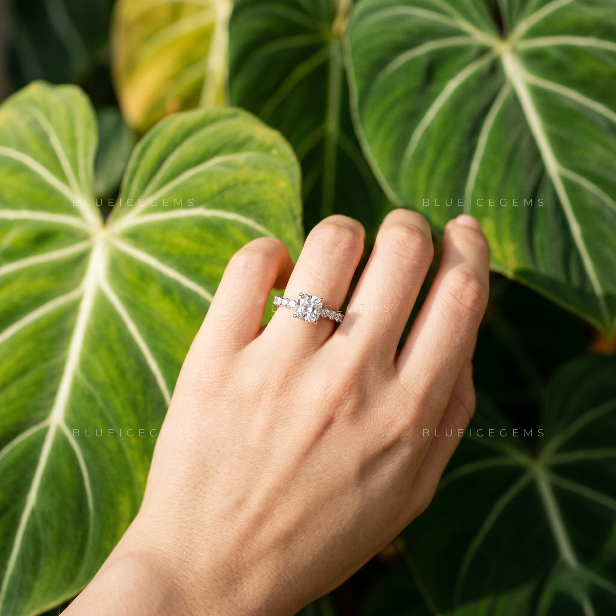 Elegance Cushion Cut Diamond Solitaire Ring with Side Accents
