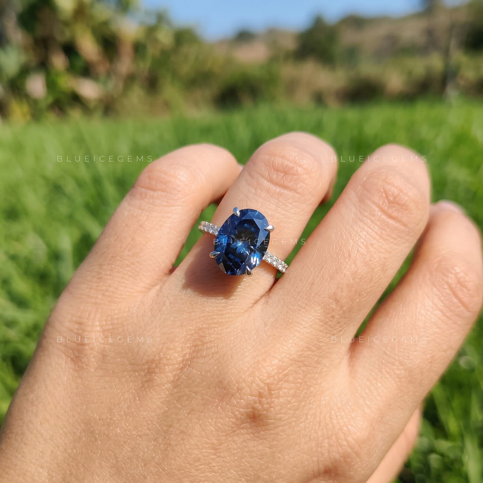 Midnight Velvet Oval Cut Pavé Engagement Ring